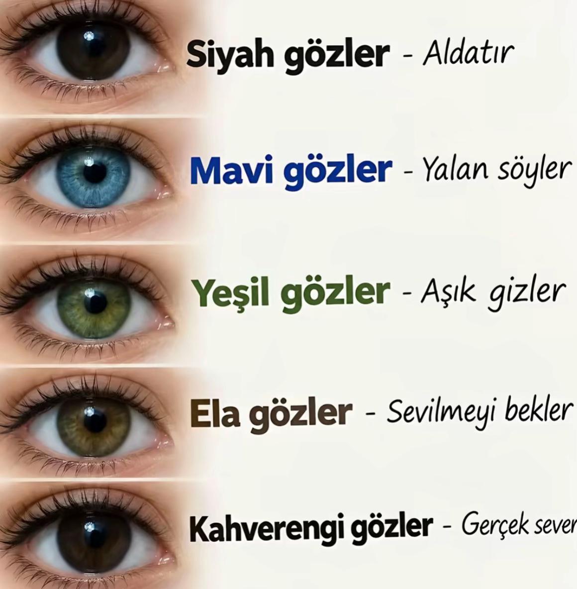 @Karadumanozge246