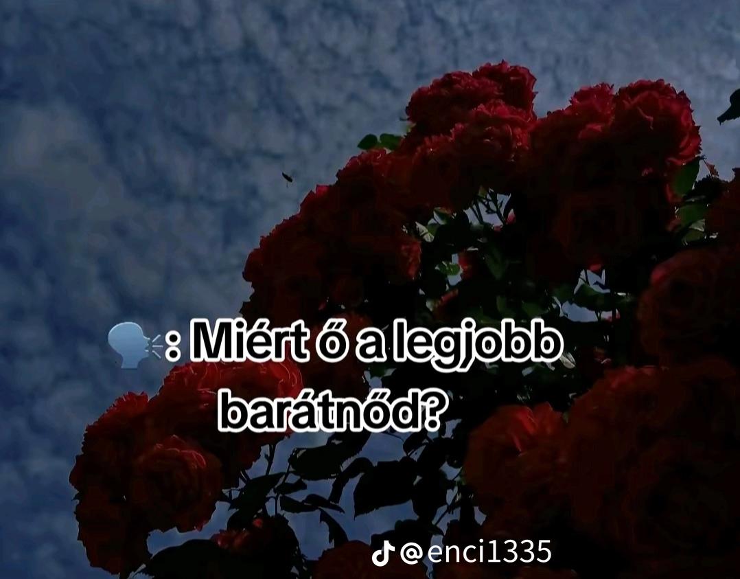 @nikolett_14
