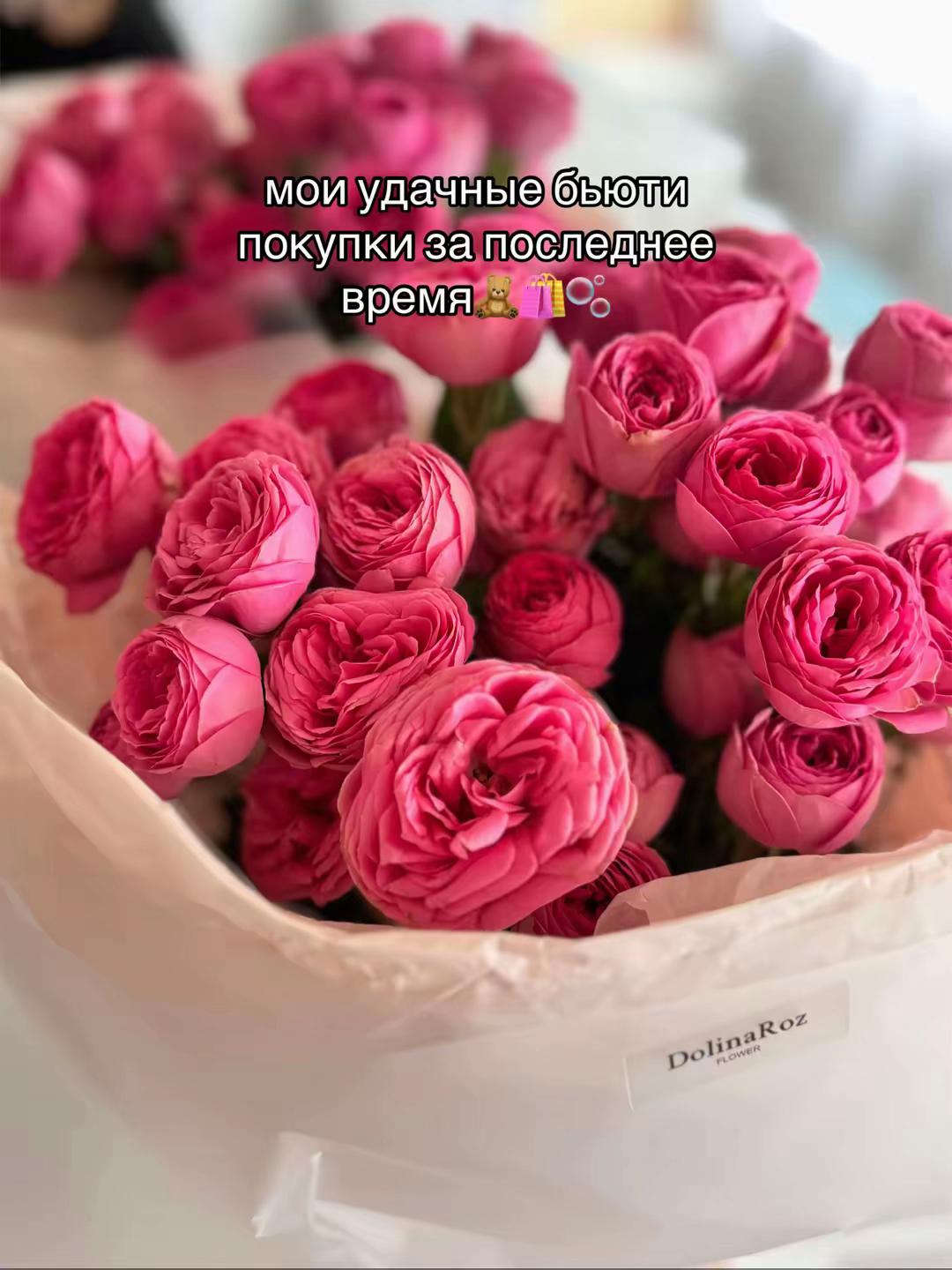 @🎀𝐊𝐎𝐒𝐇𝐊𝐀🎀