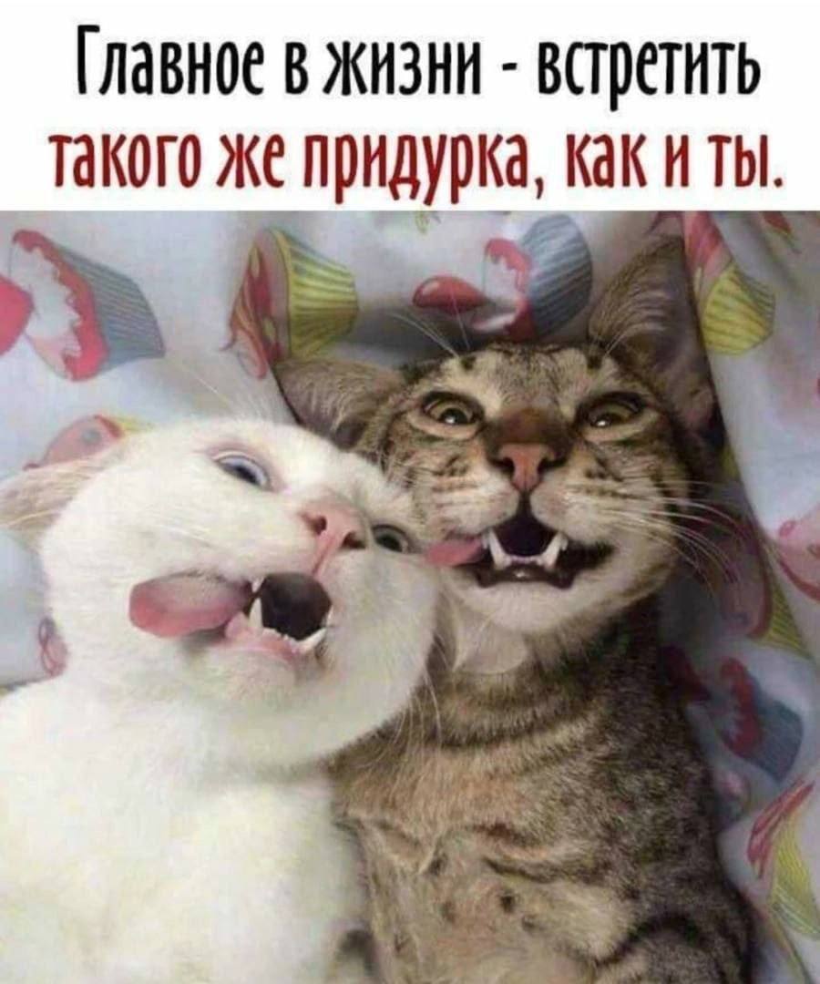 @КОМАРИХА
