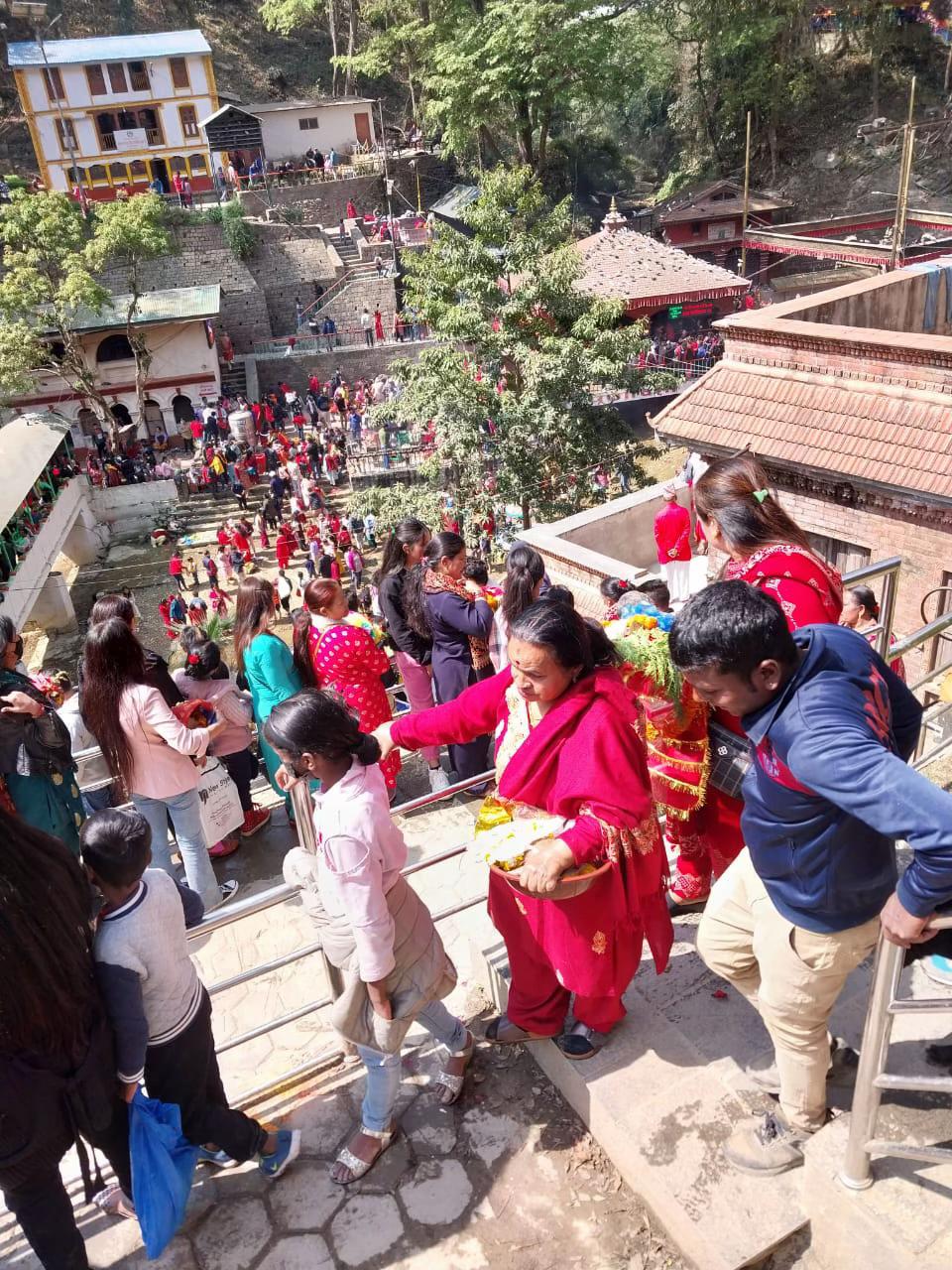 @rajivrijl
