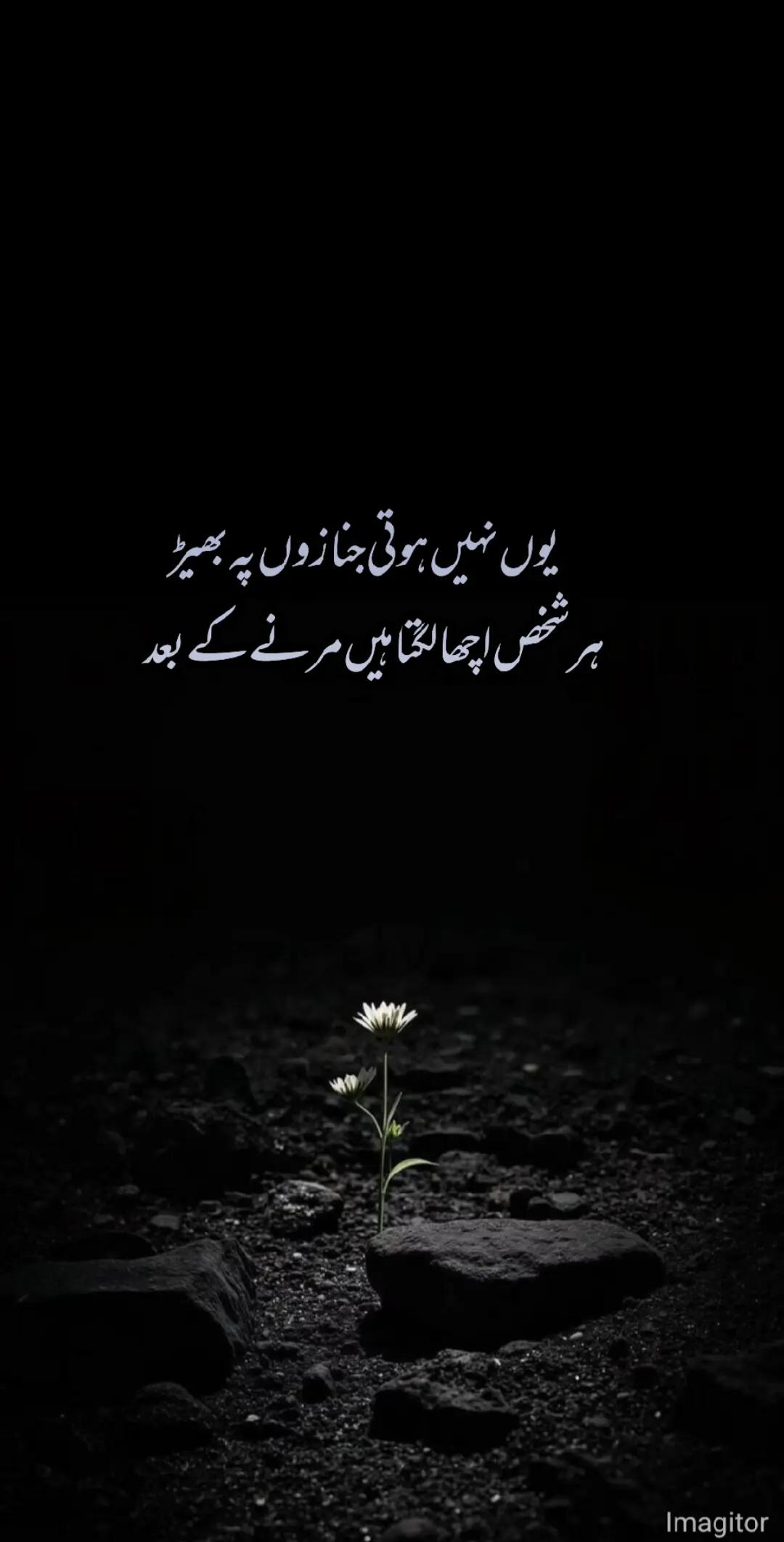 @khyal E yar 🥀🌙