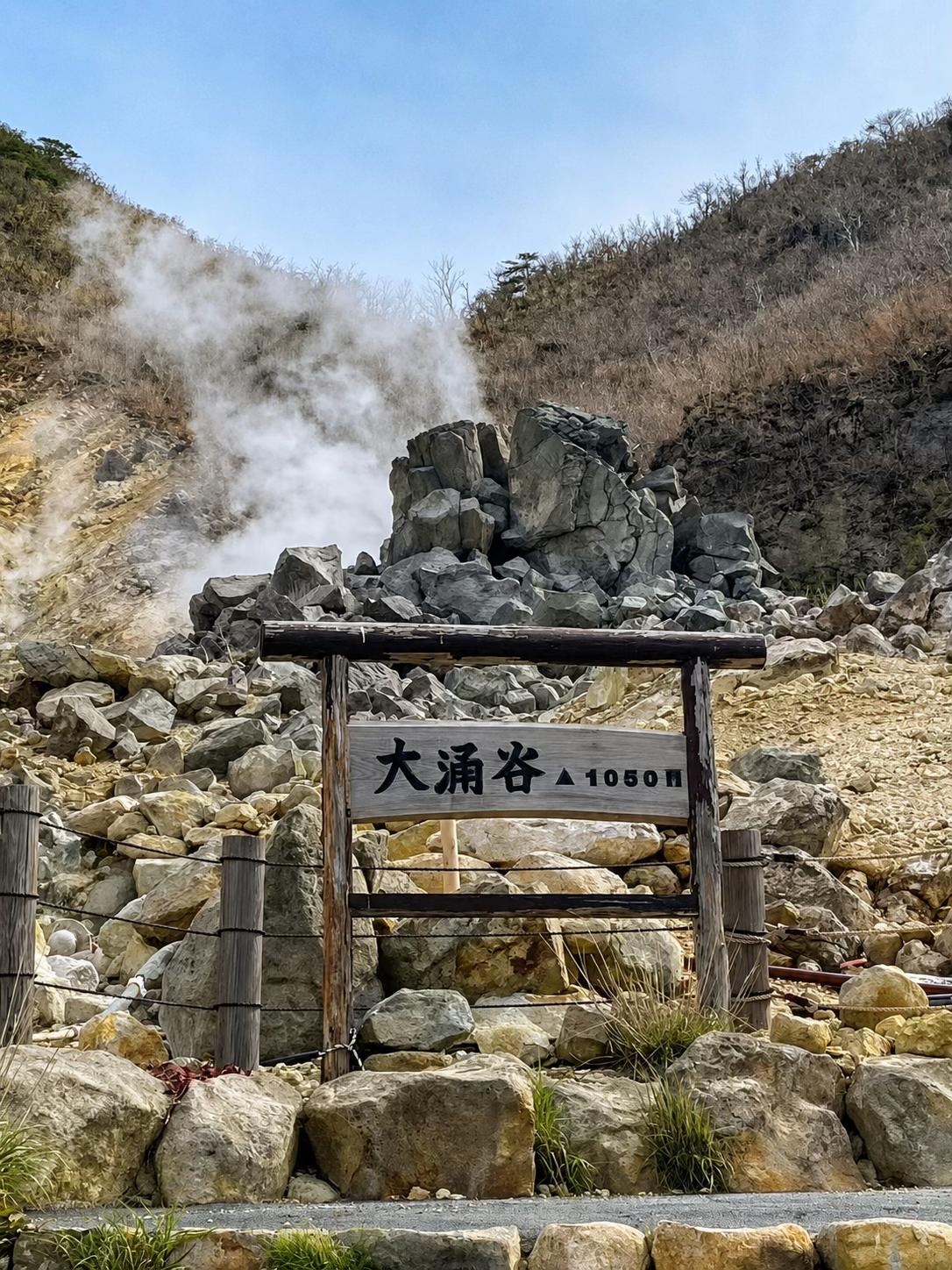 @日本包车-商导