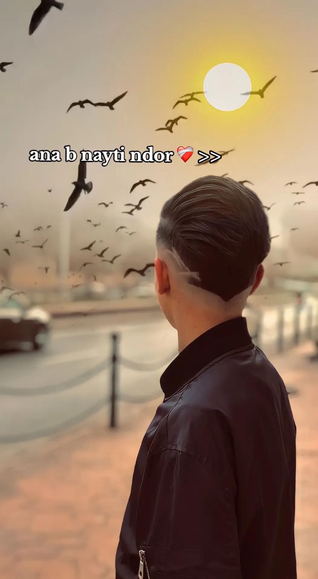 @hichem._lns