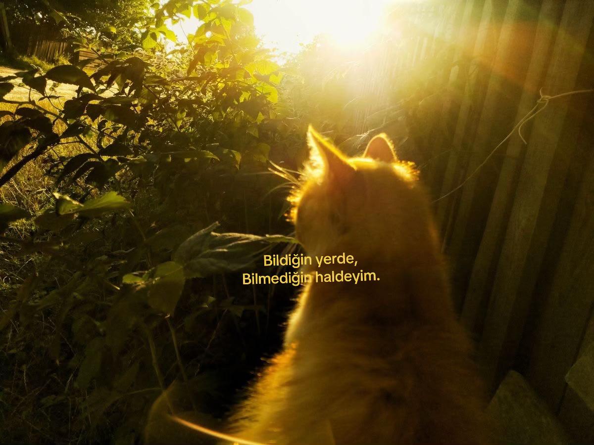 @𝒍𝒊𝒗𝒊𝒏𝒈𝒉𝒂𝒓𝒅