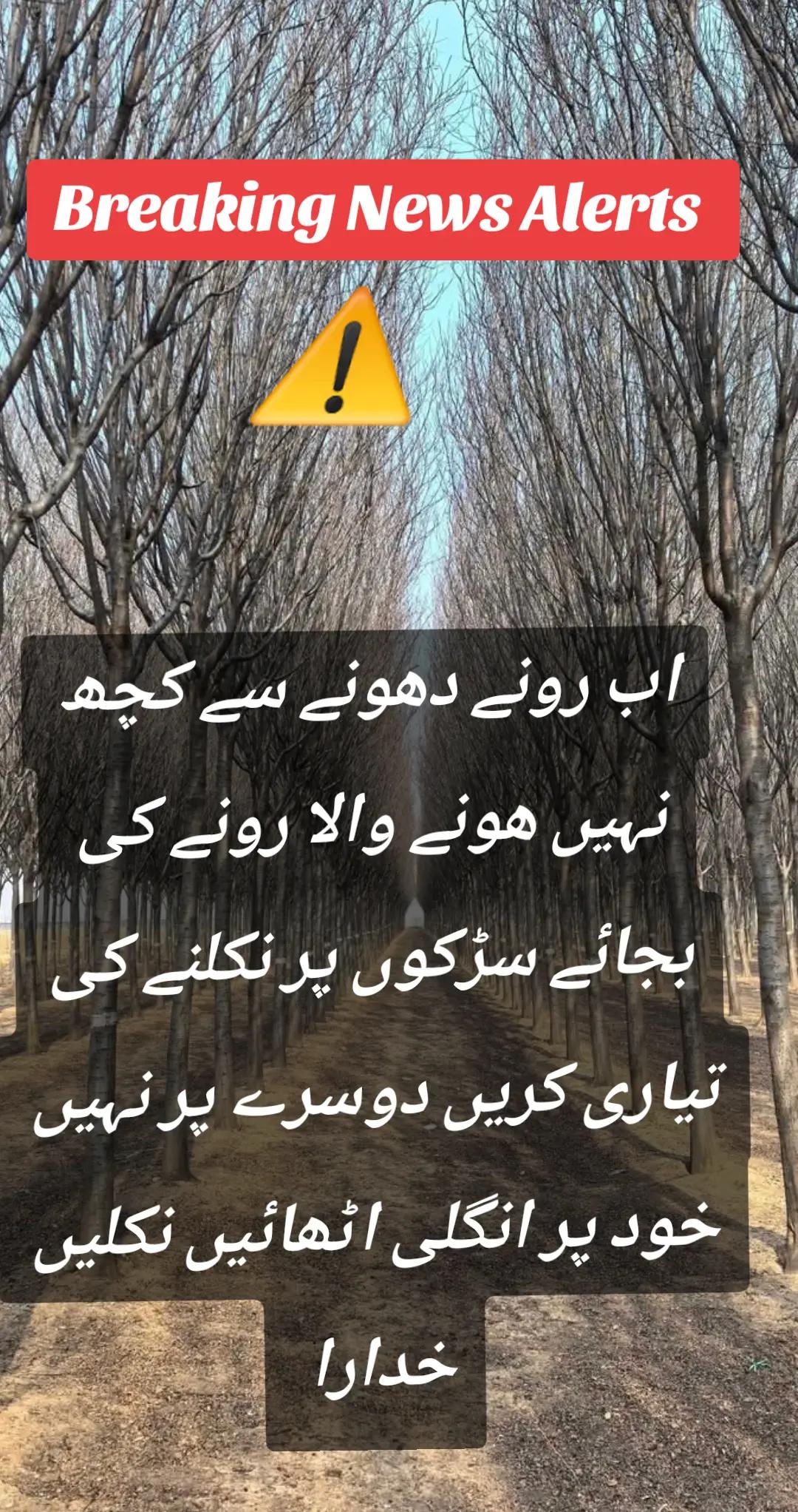 @اڈیالہ 804