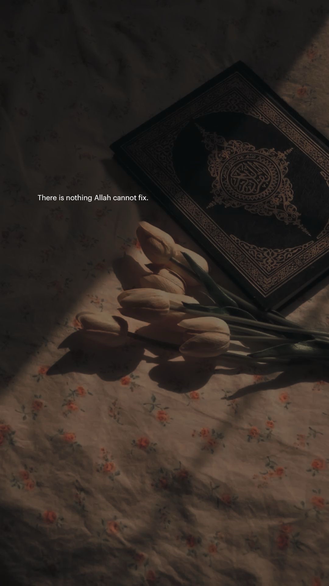 @أميرة🤍