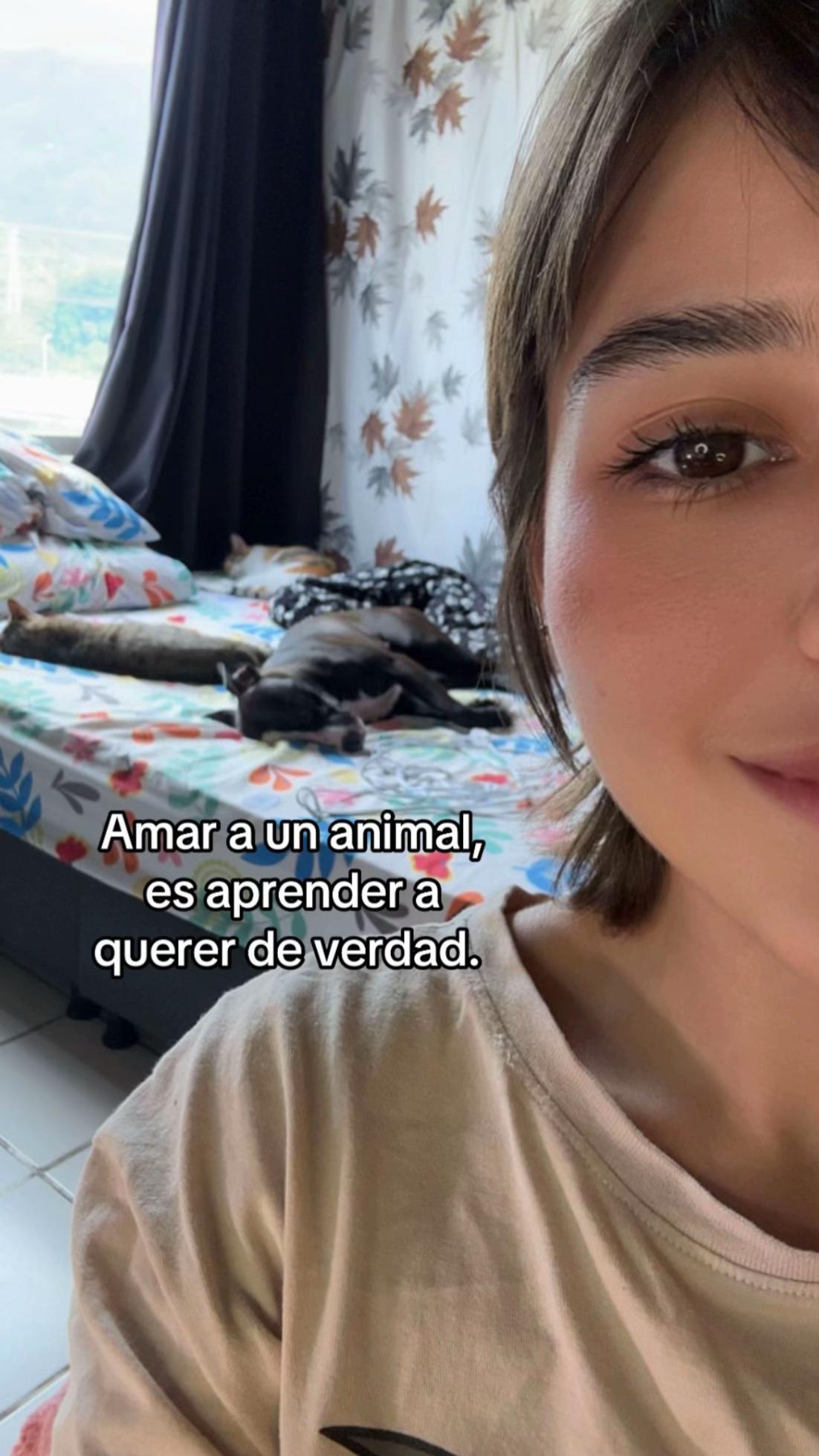 @Zairy🌻