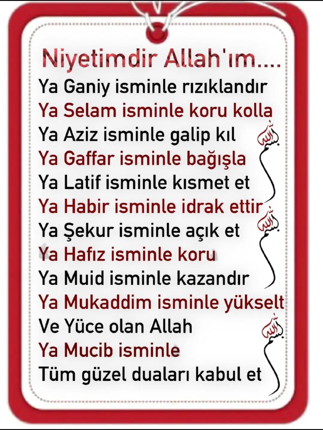 @şeenol Albayrak