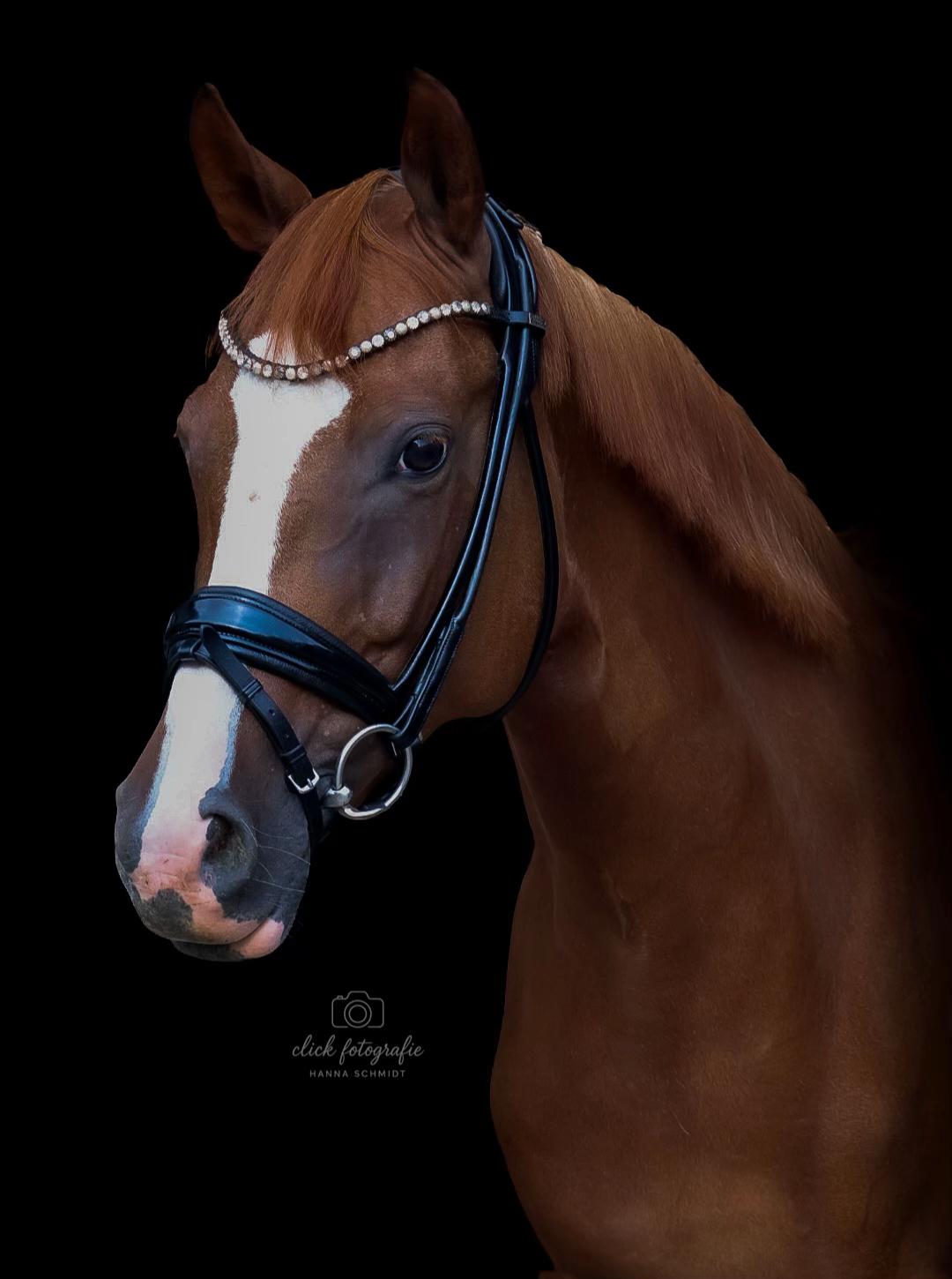 @Click Fotografie 💗✨