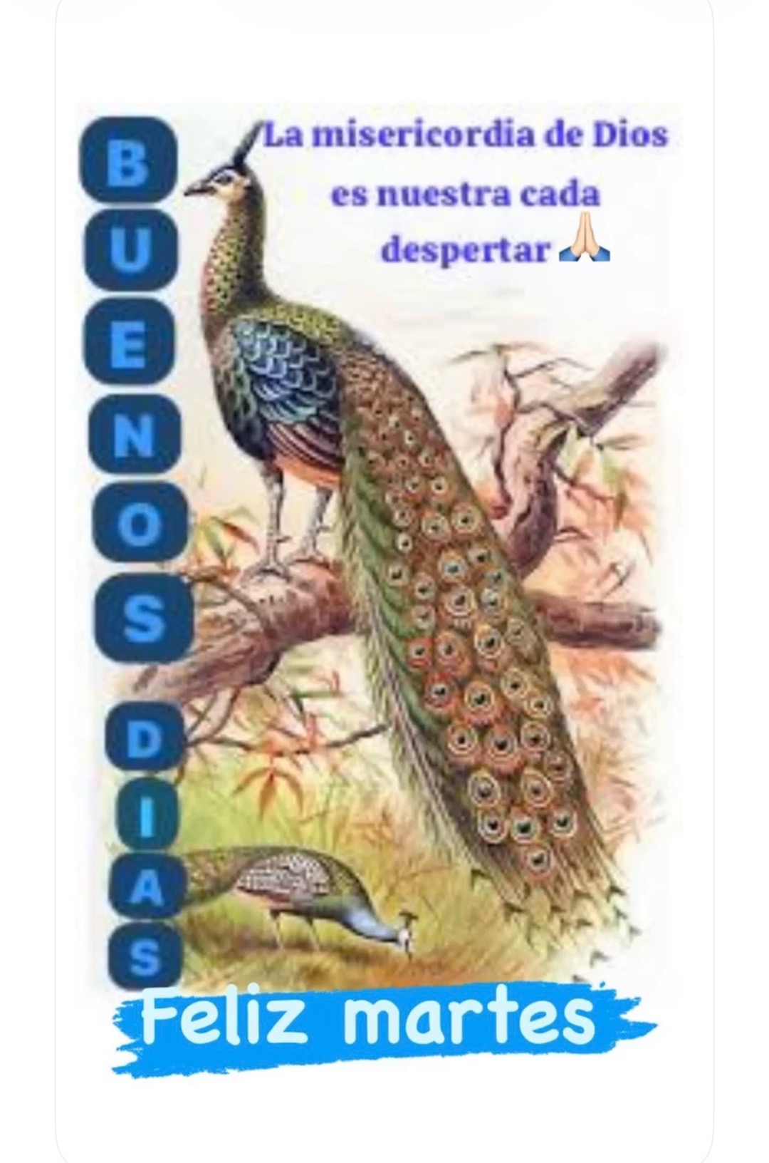 @🍒lucy contenido diario 🍒