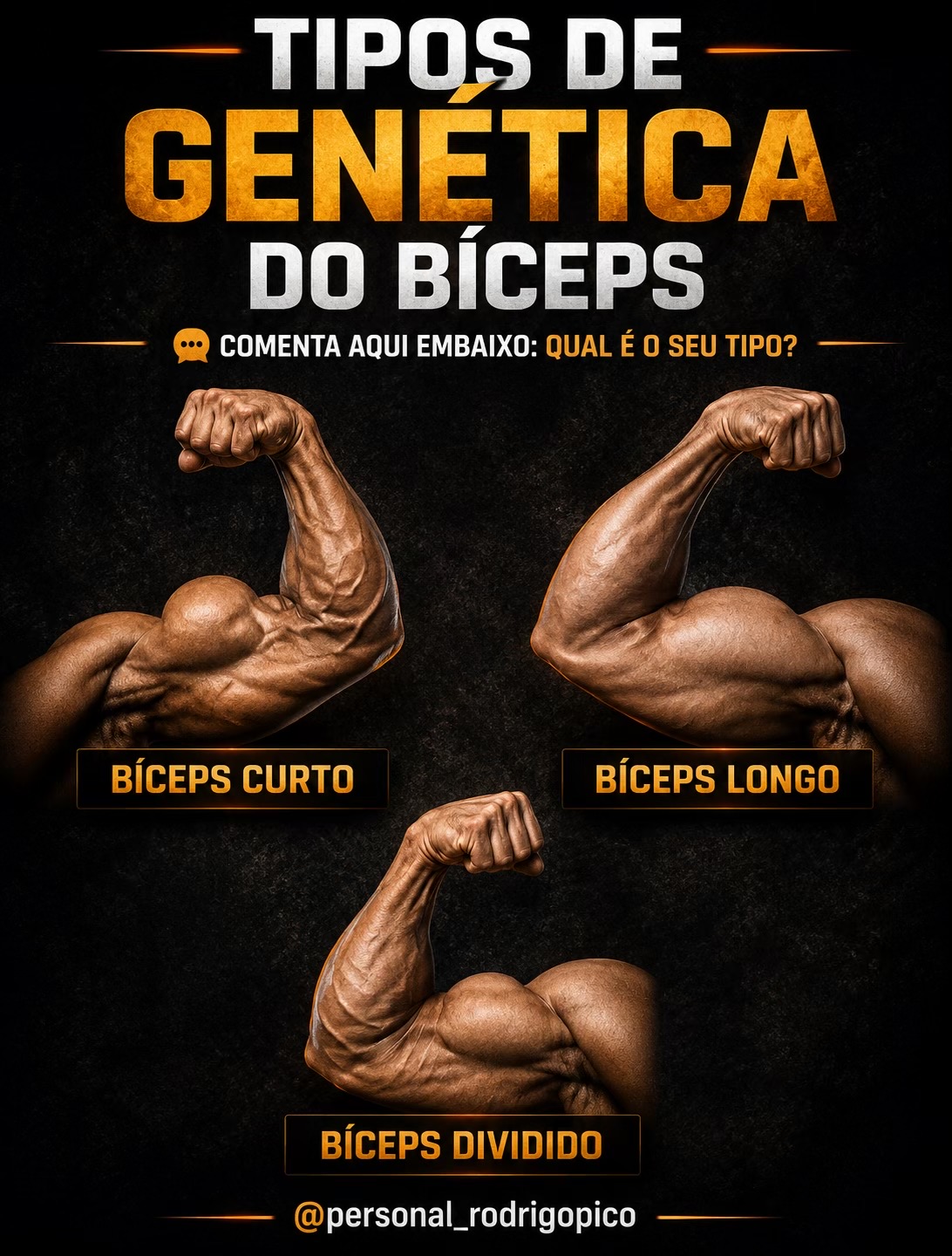 @Rodrigo / DEFINIÇÃO MUSCULAR