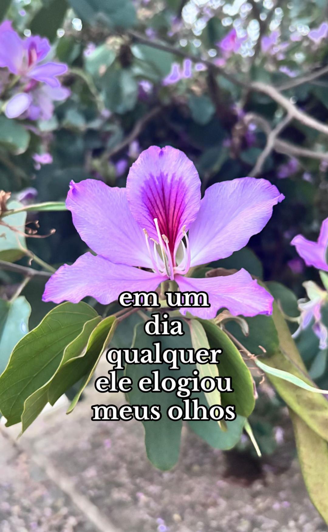 @sena🪻