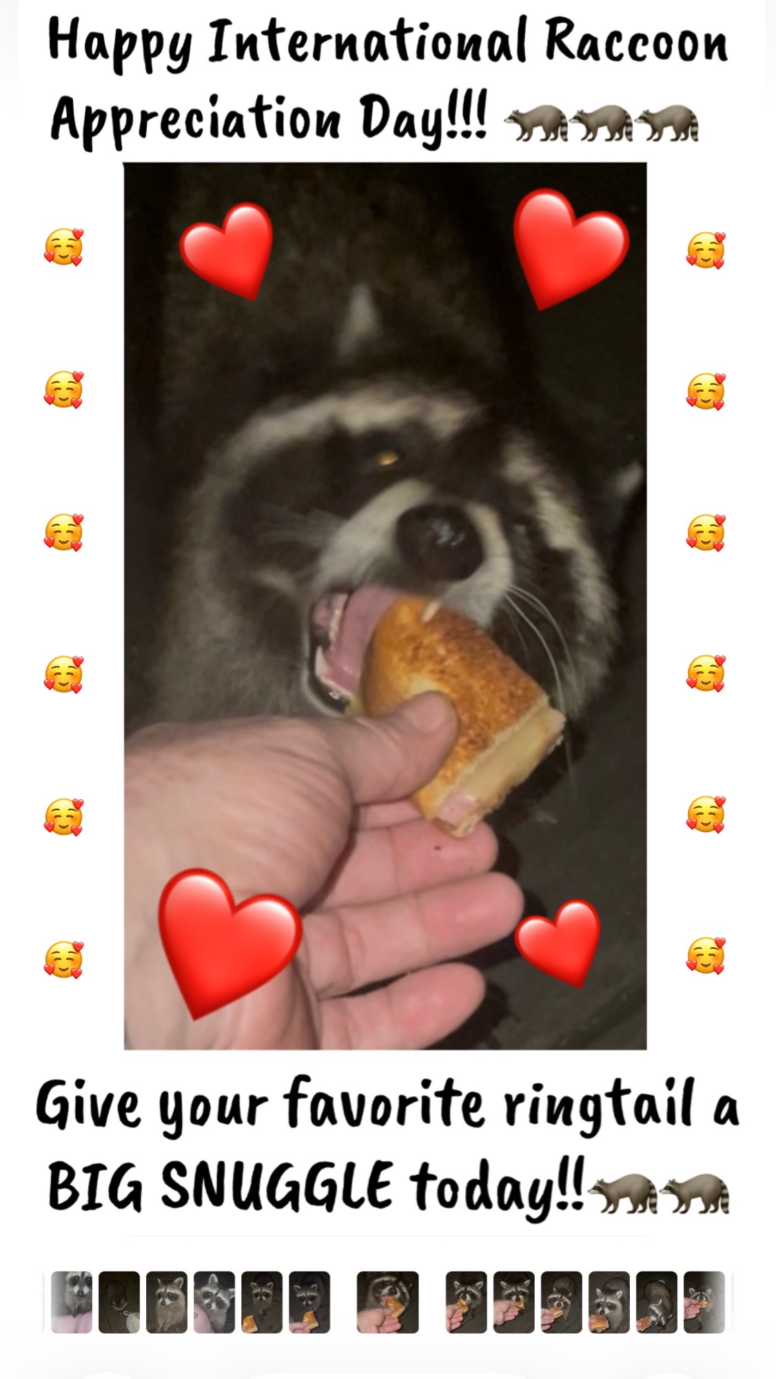 @LoneWolfKritterKam