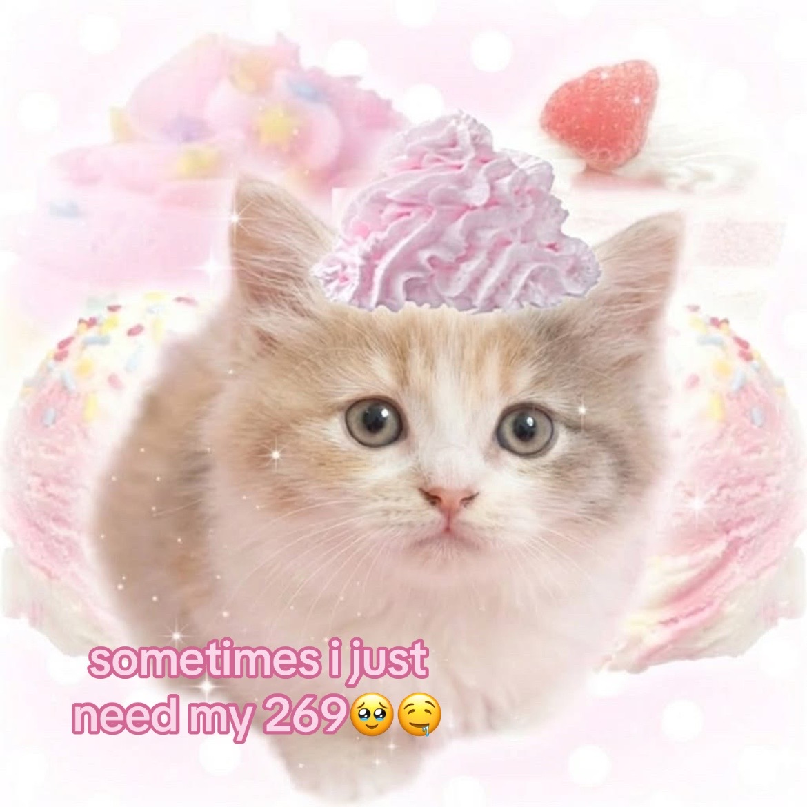 @࣪ ⊹˖ zip 🧁🐾