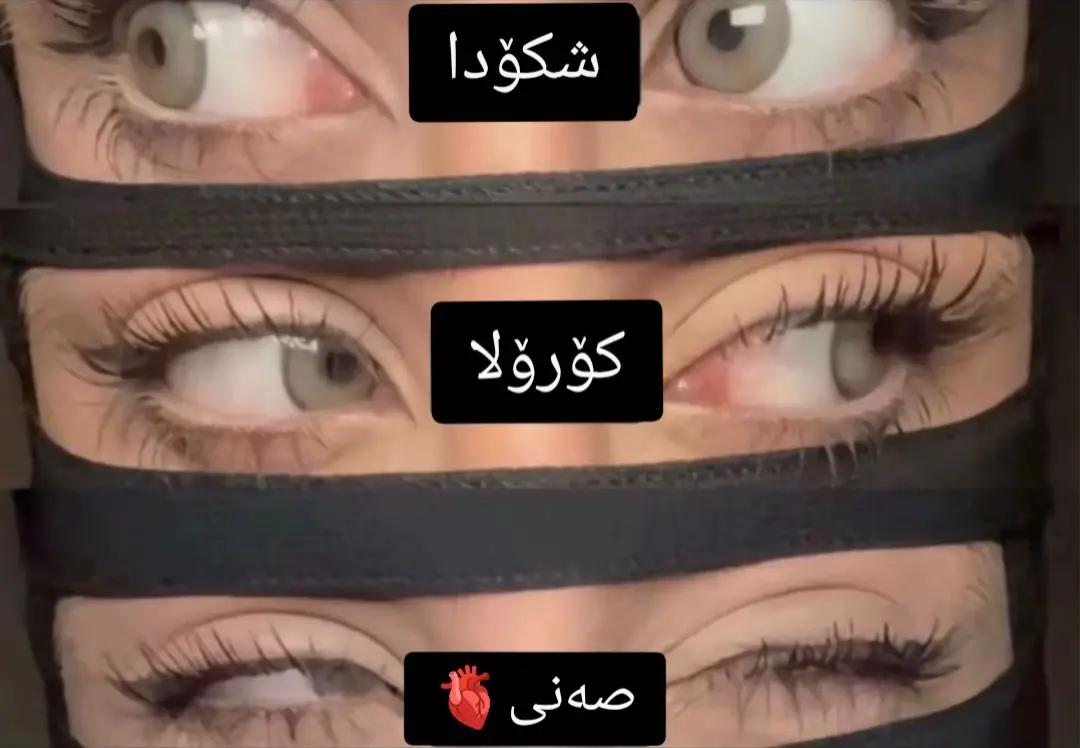 @﮼رامەی ﮼سەنی🇯🇵