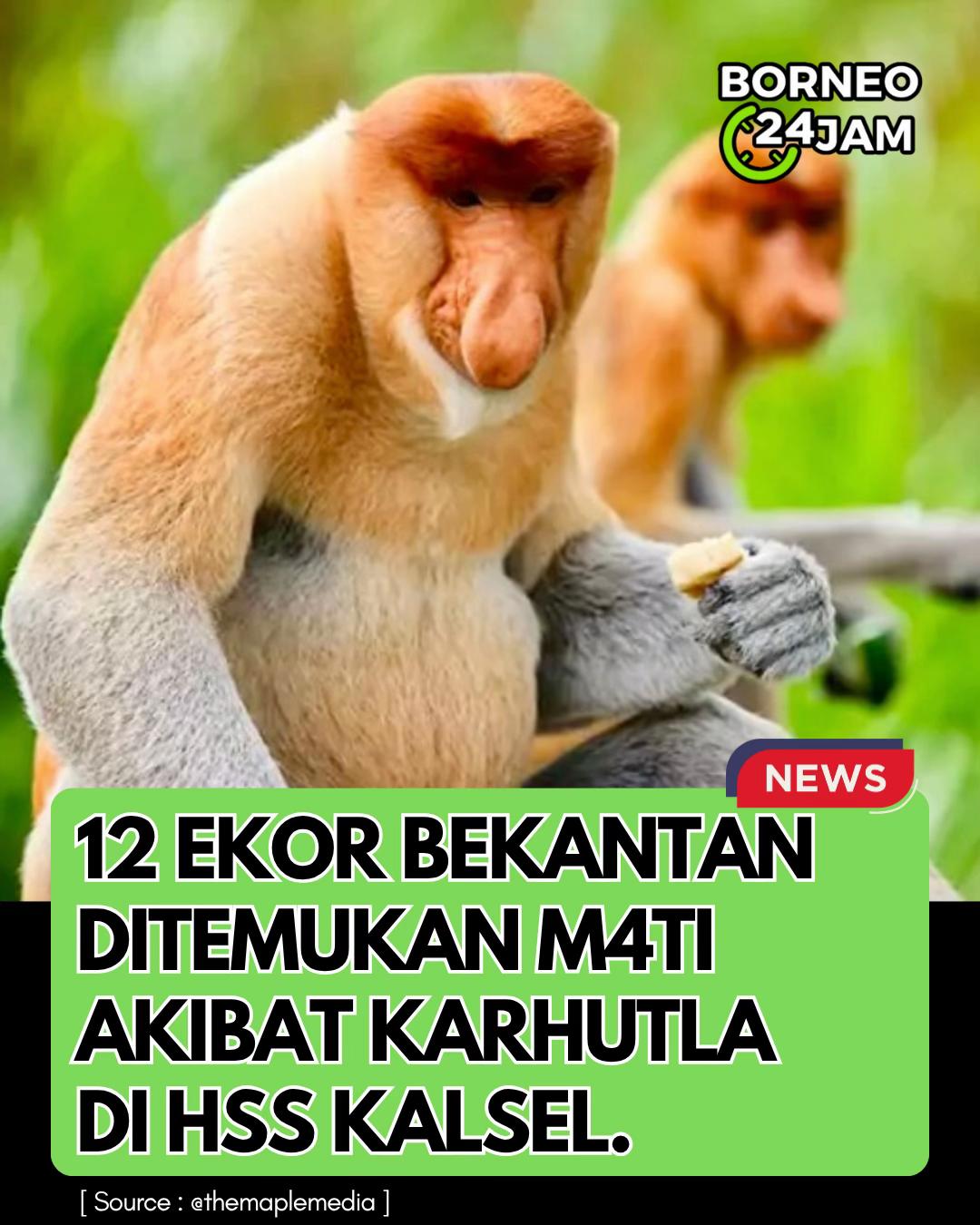 @TanahLautInfotainment