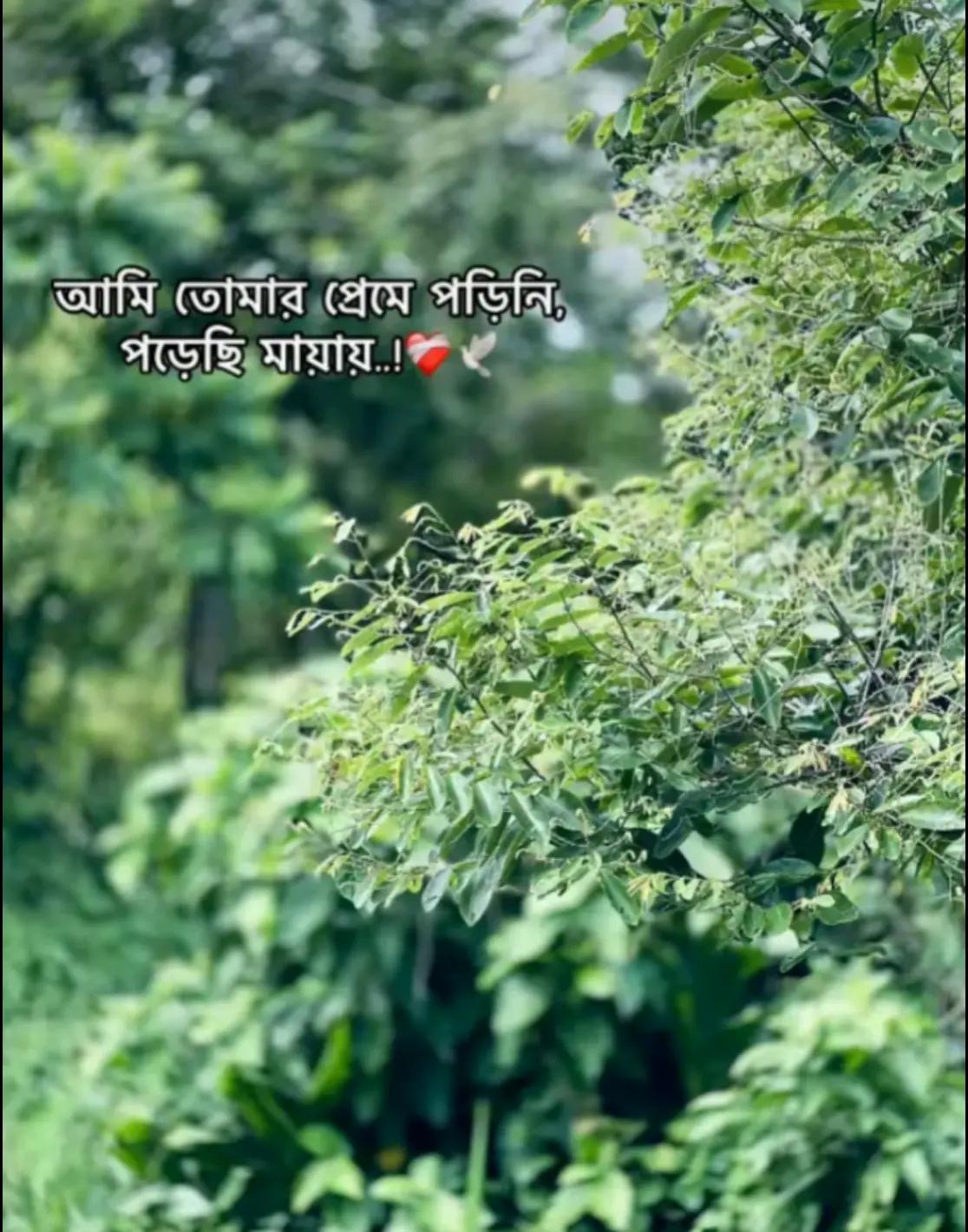 @Disha Bhowmick