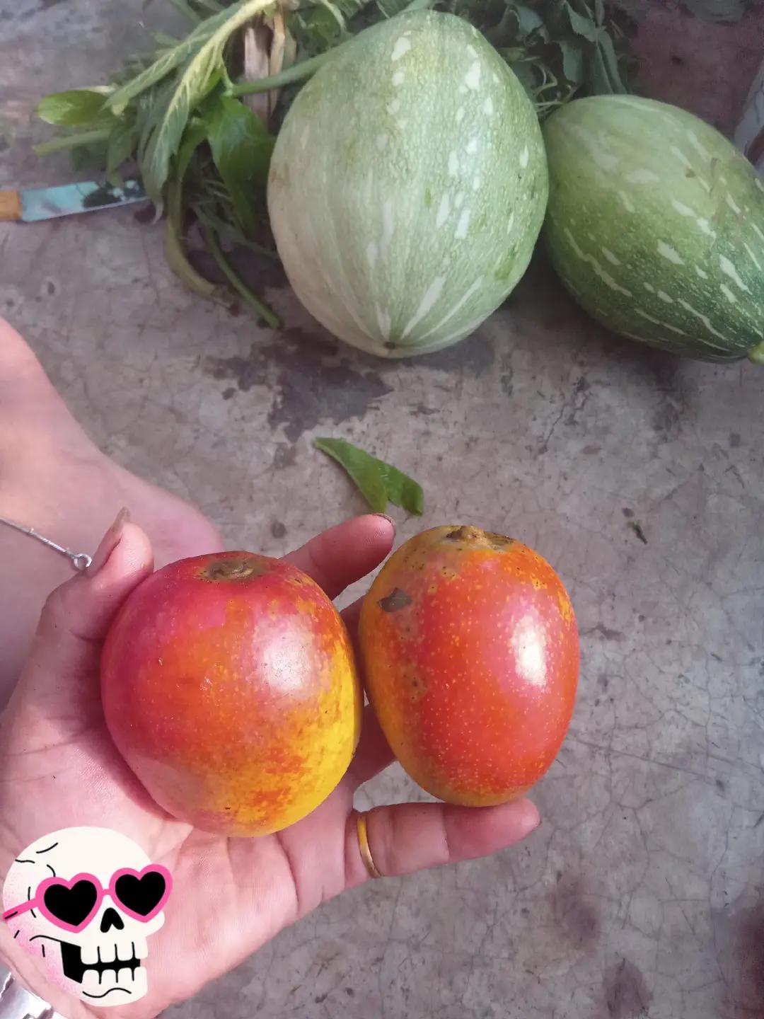 @नेहा राई