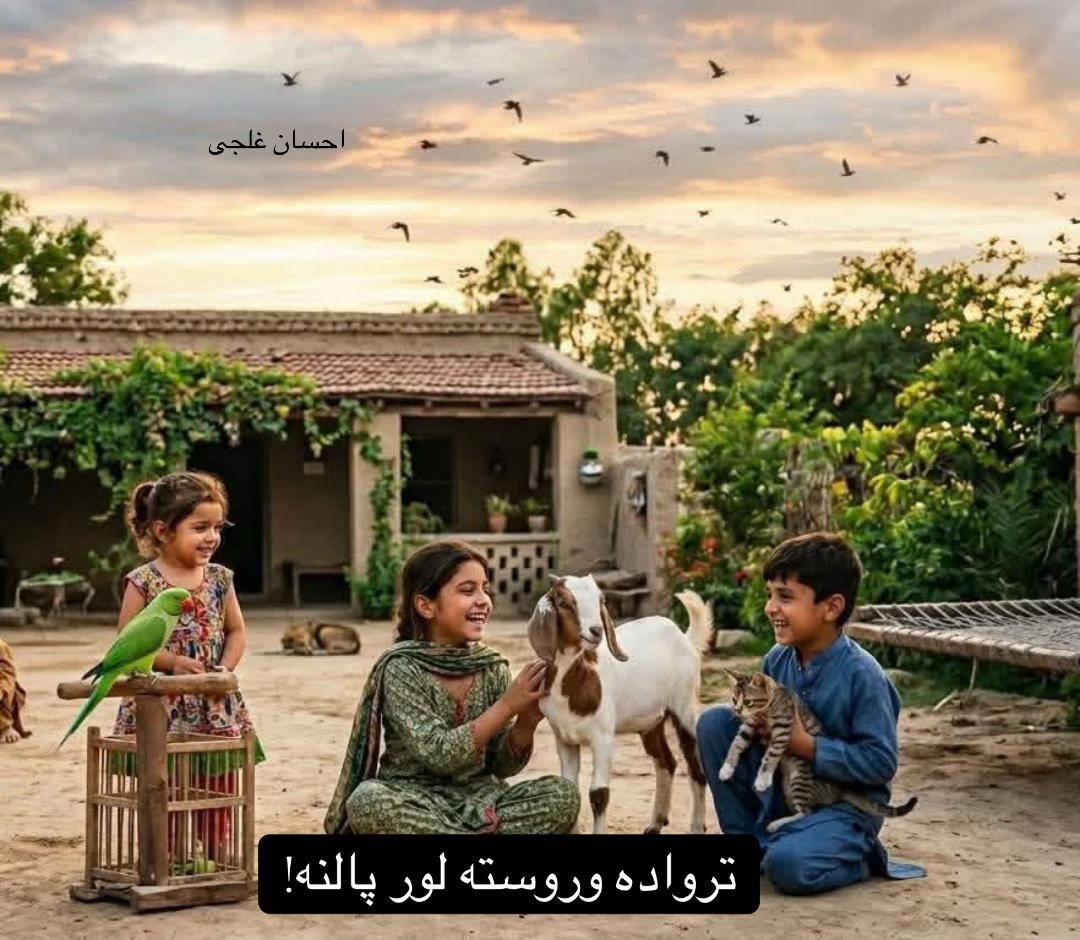 @احسان  غلجی