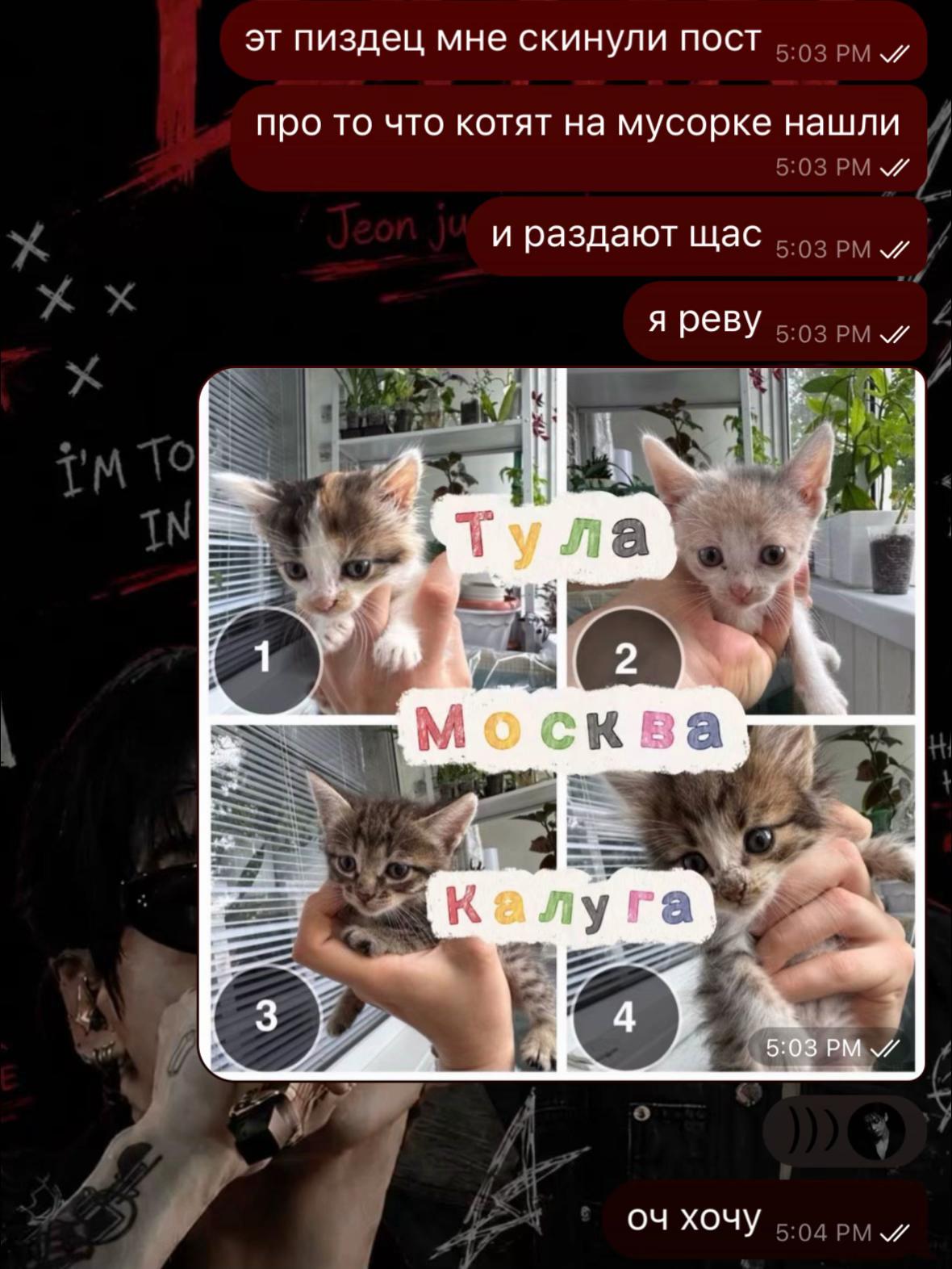 @волч