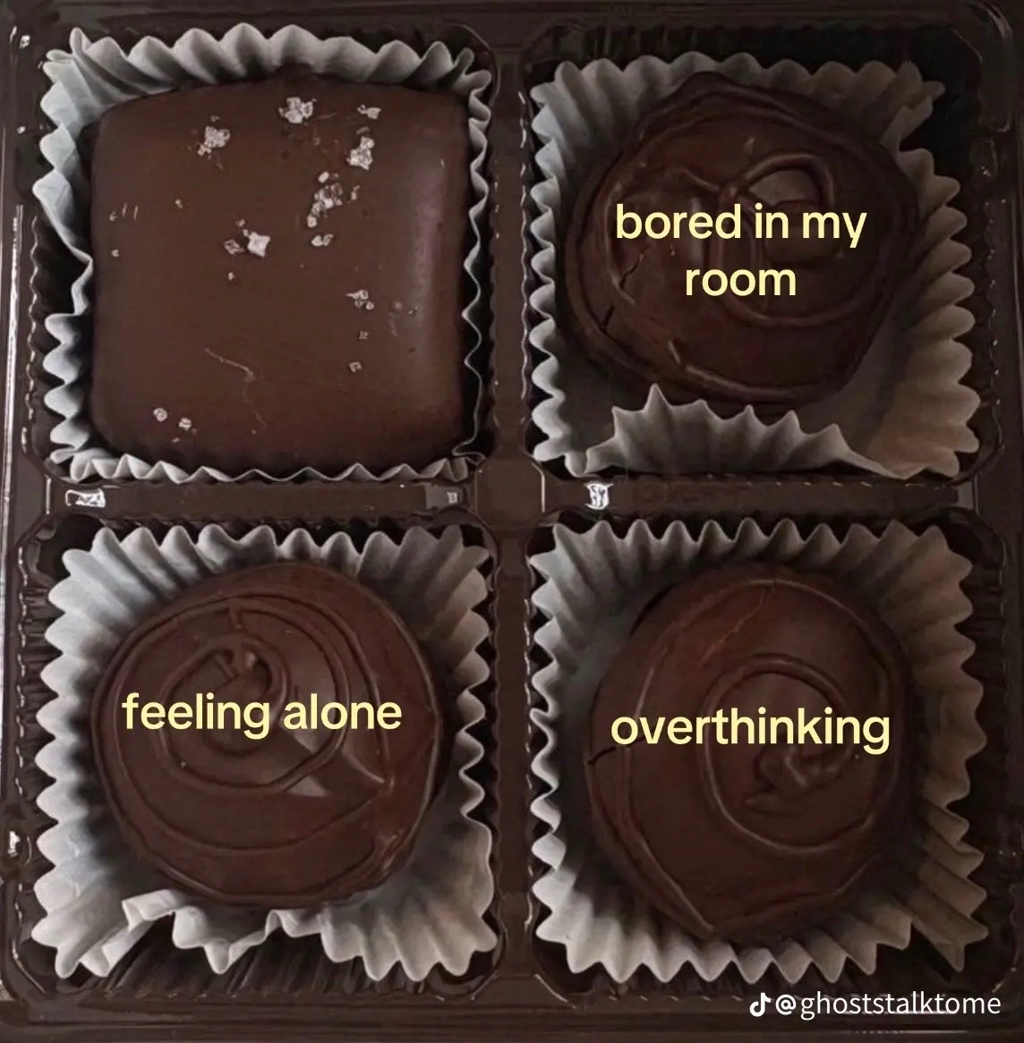 @Dani Wendt🗡️