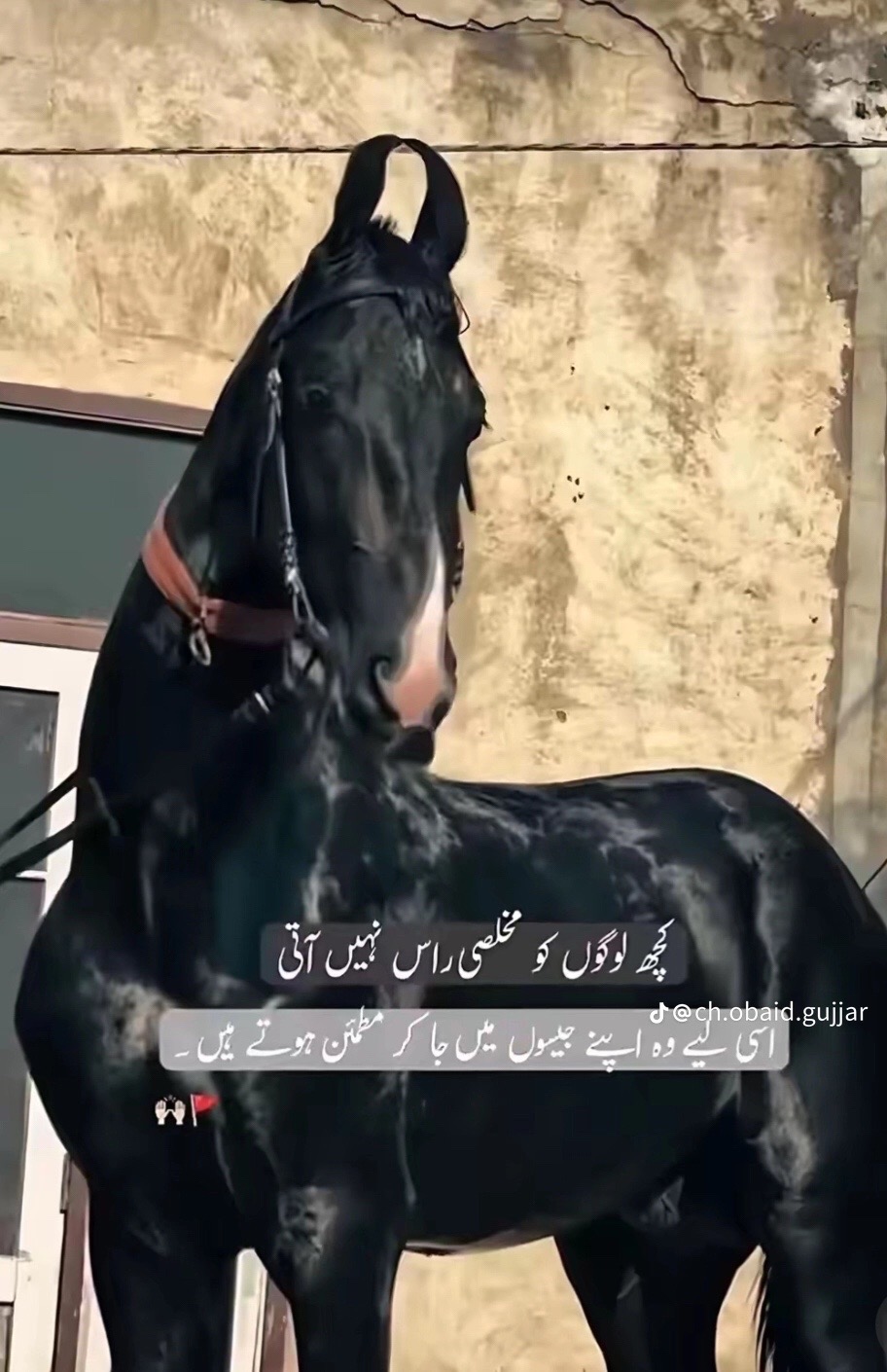 @Aحmad 121