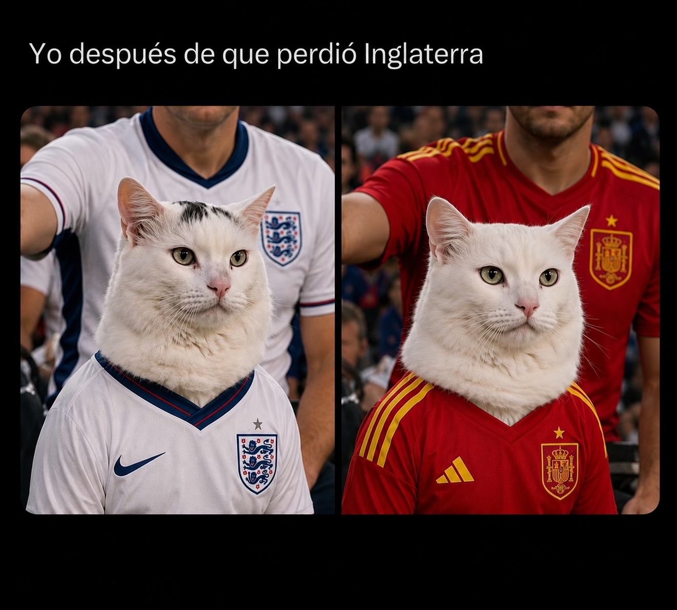 @Bryan García