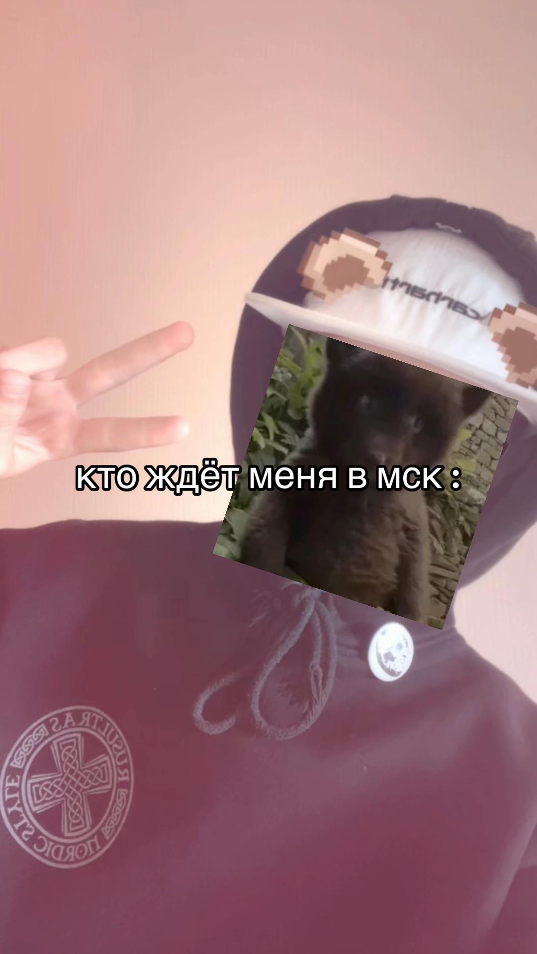 @Медведь | RUMO