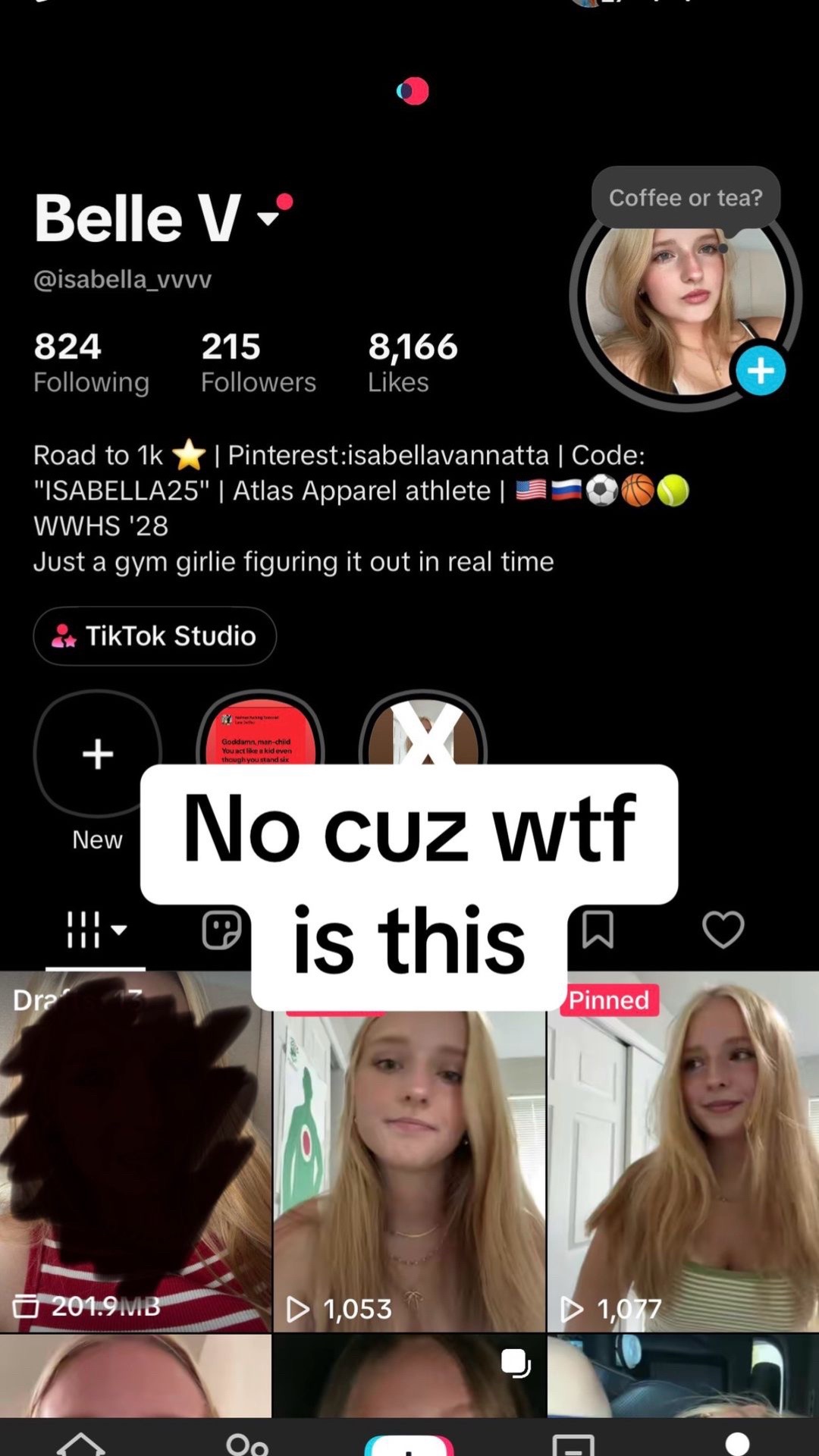 @bellevannatta