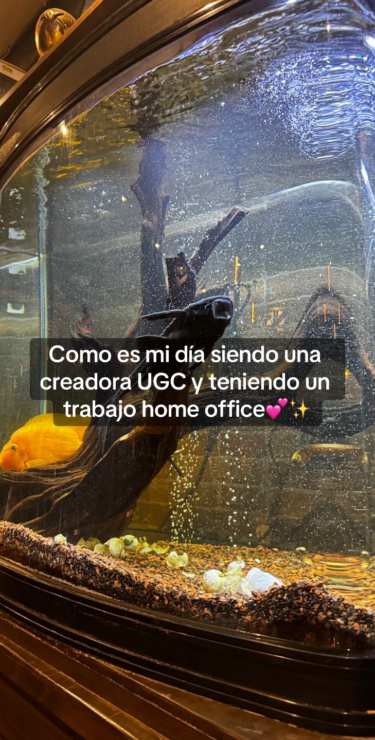 @Yolatzin•UGC