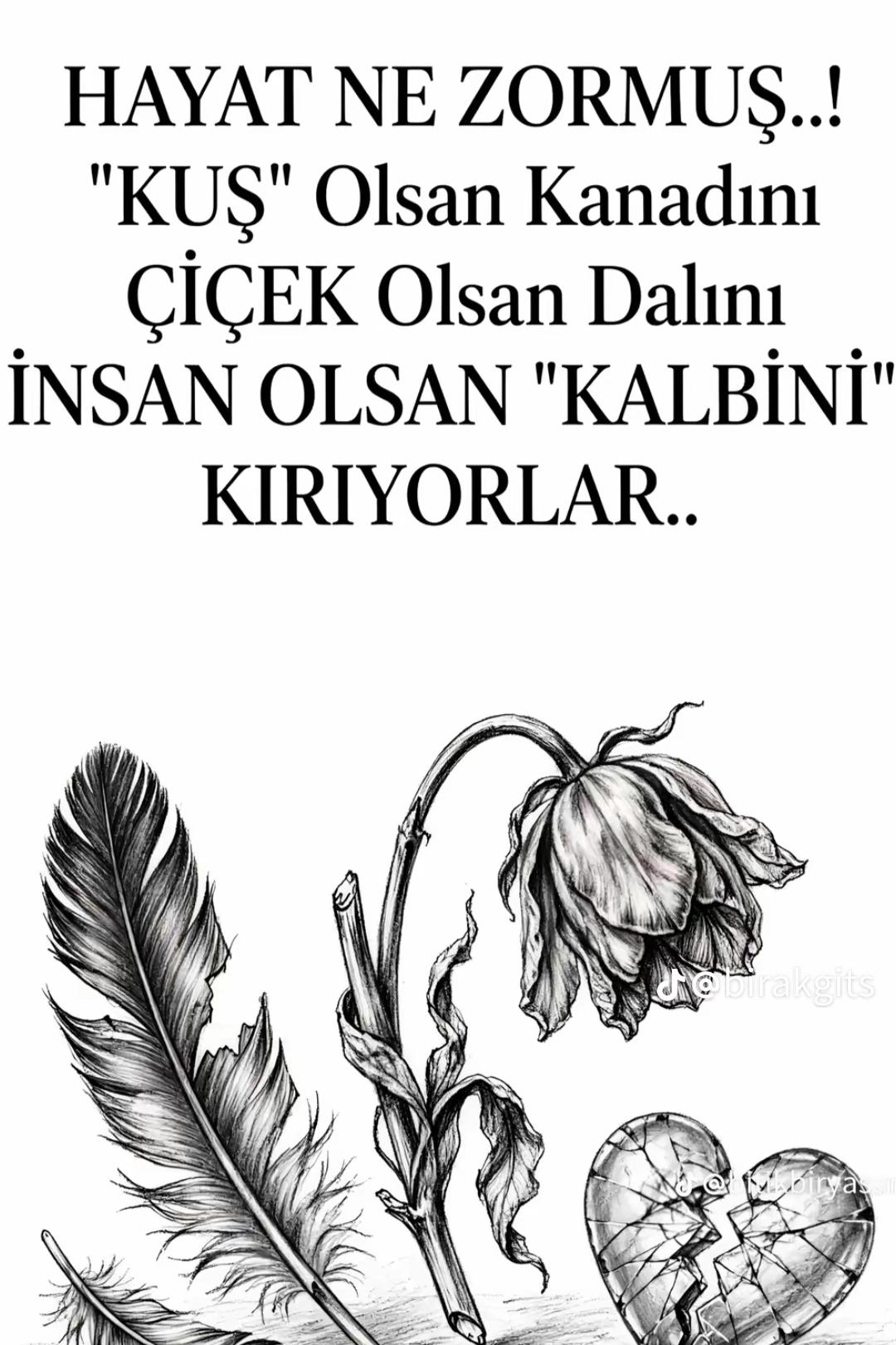 @Ulaş celik