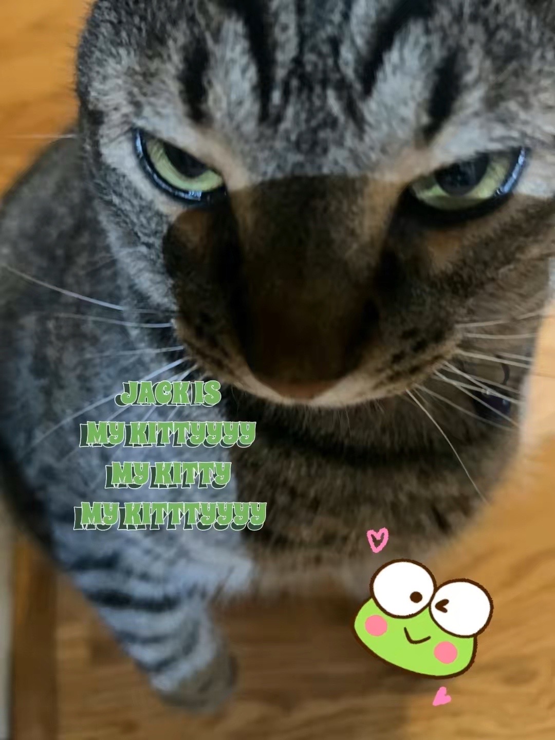@愛LANIHHH🦕寂