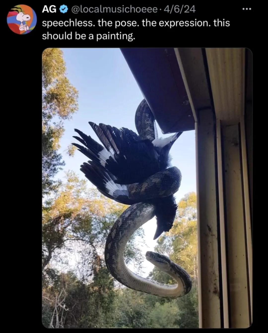 @birbwirb