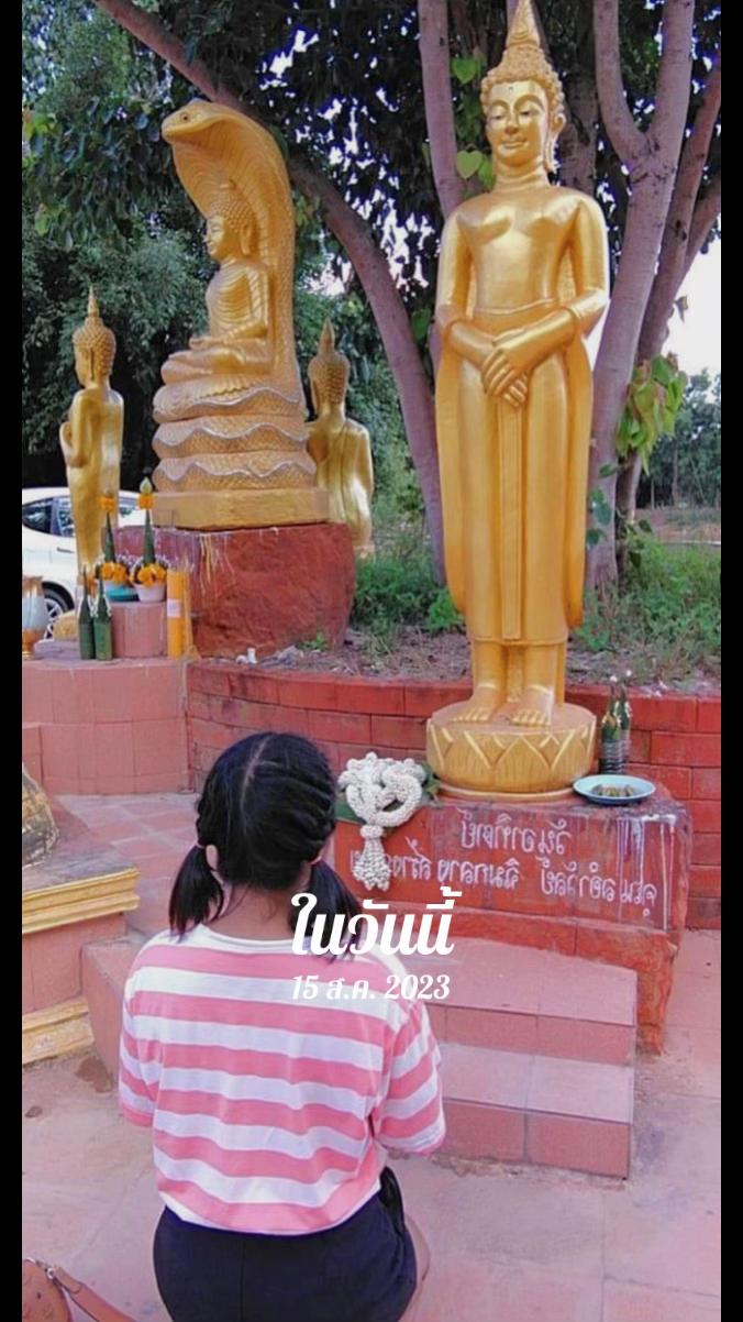 @เเคท ฐิตาภา