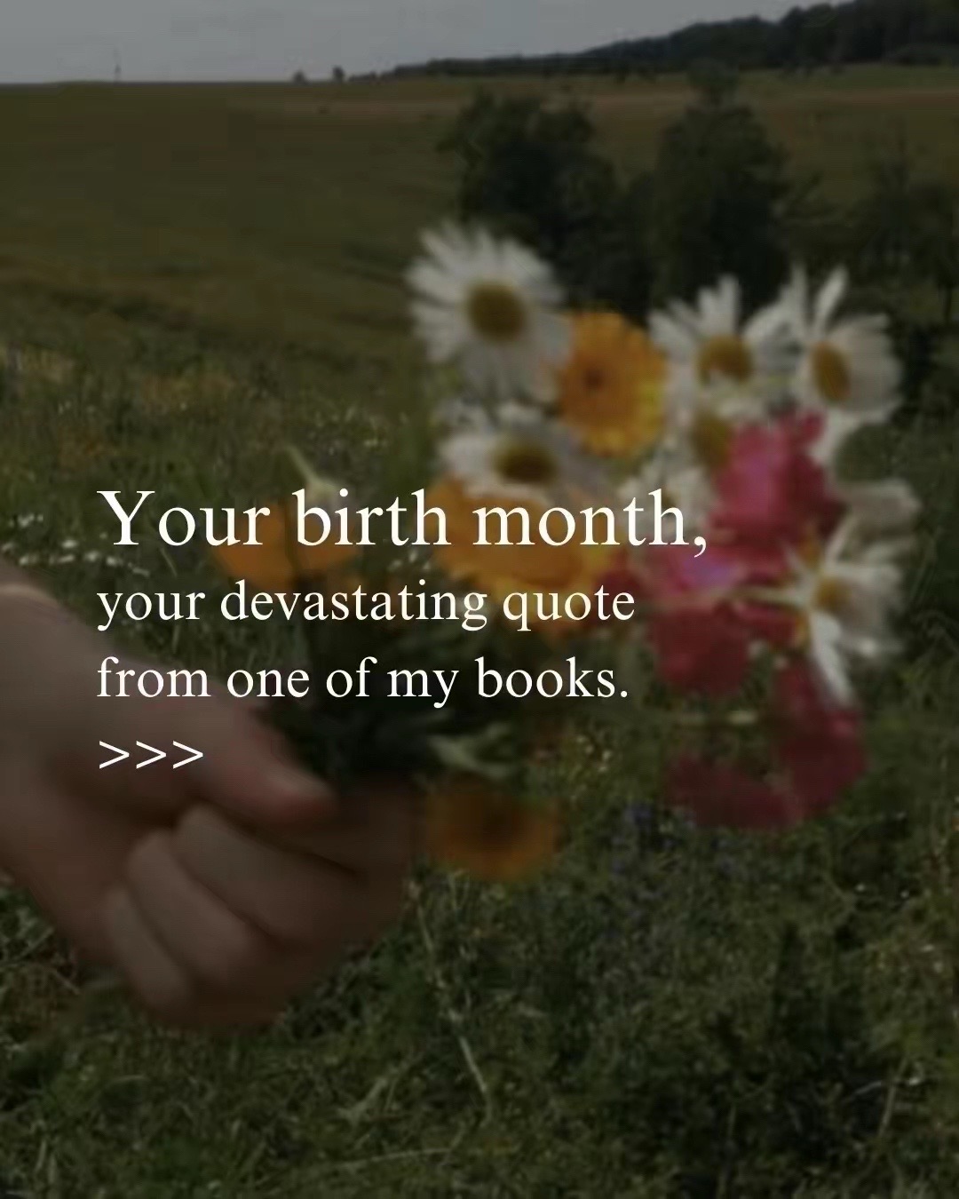 @Sophie // Writer + Illustrator