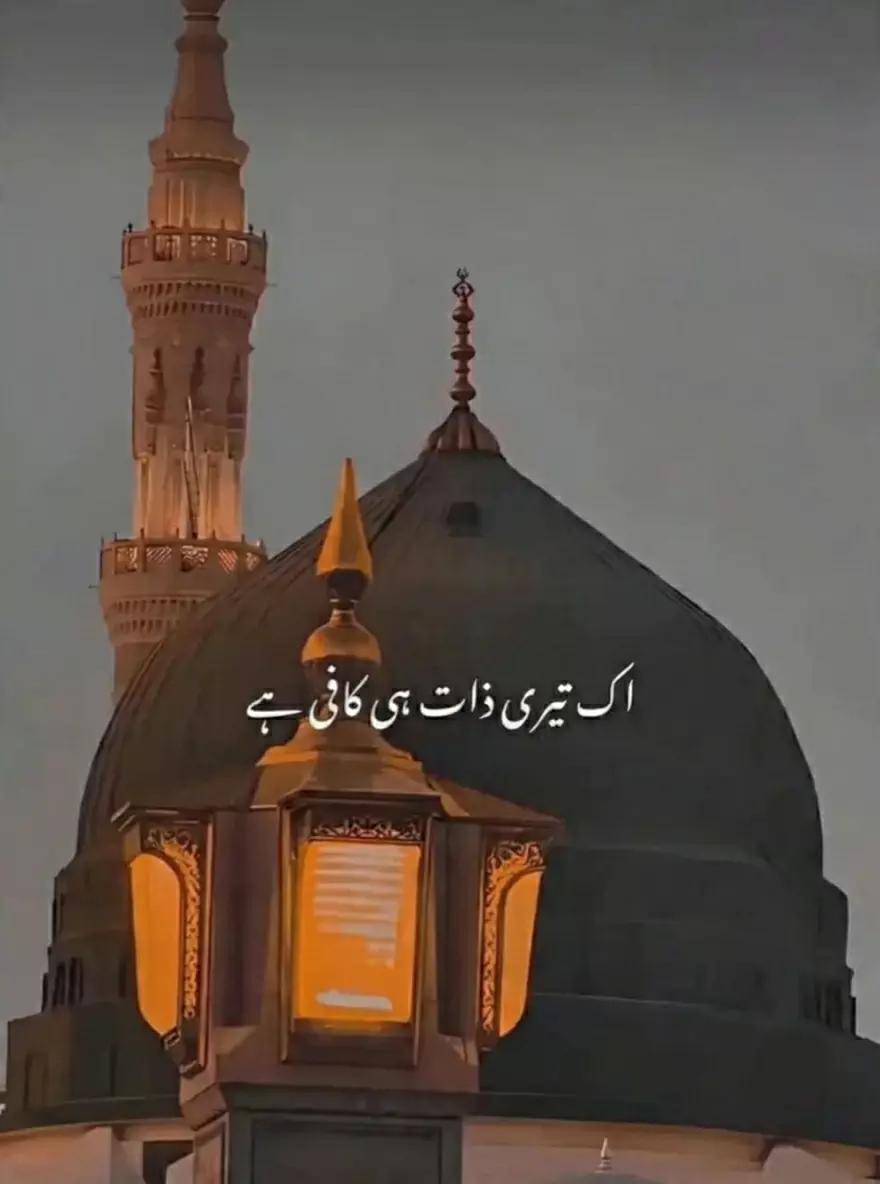 @🚩شاہ جی کہتے ہیں🚩