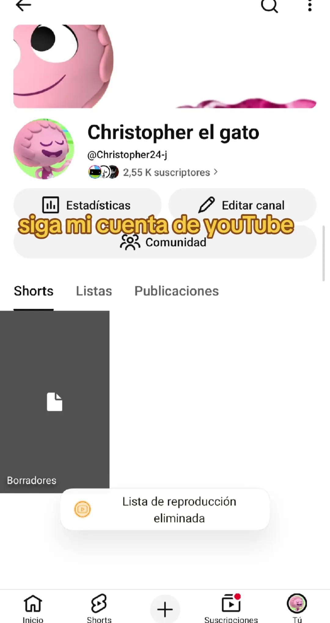 @christopherelgatomultifandoms