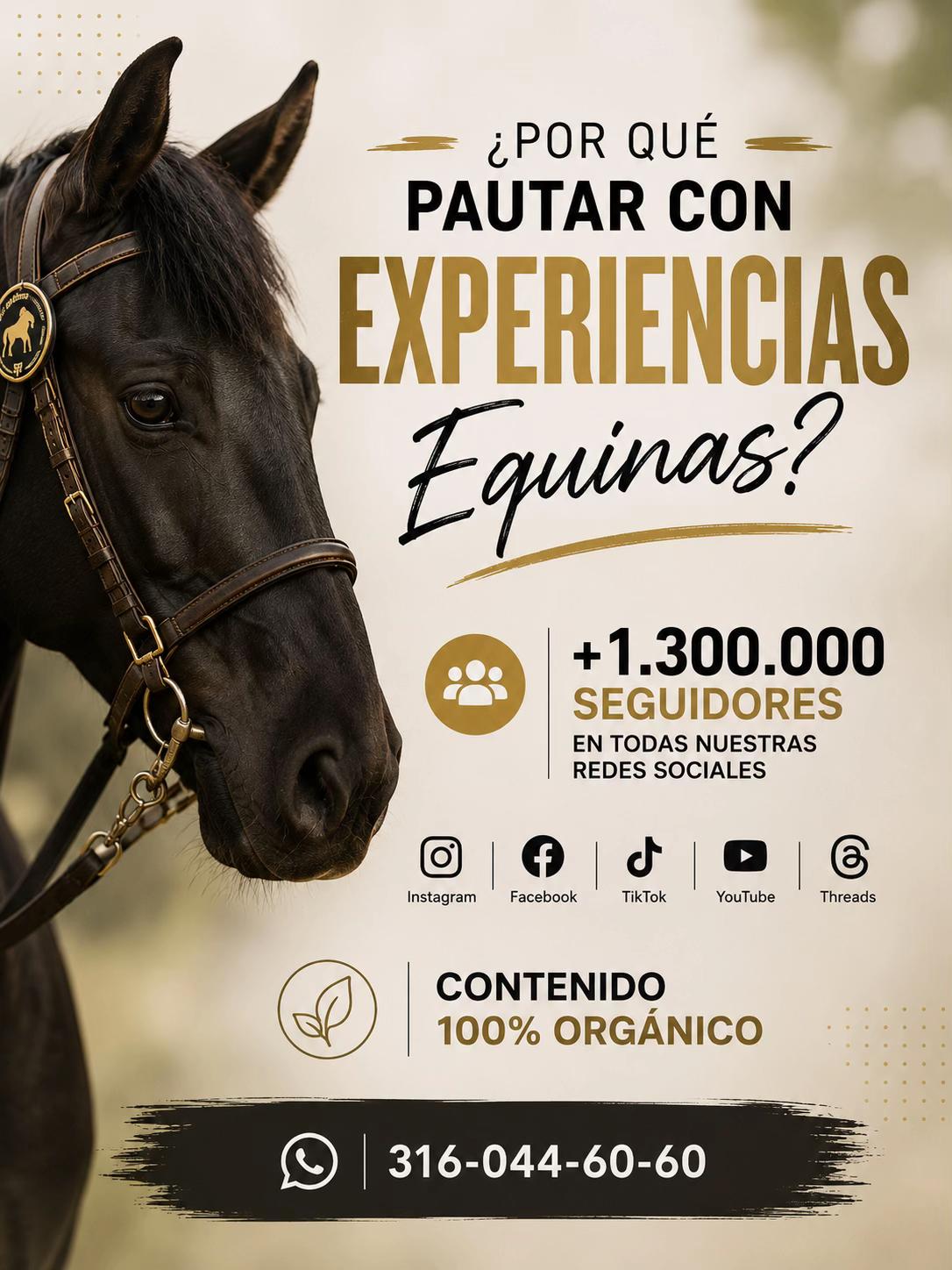 @Experiencias Equinas