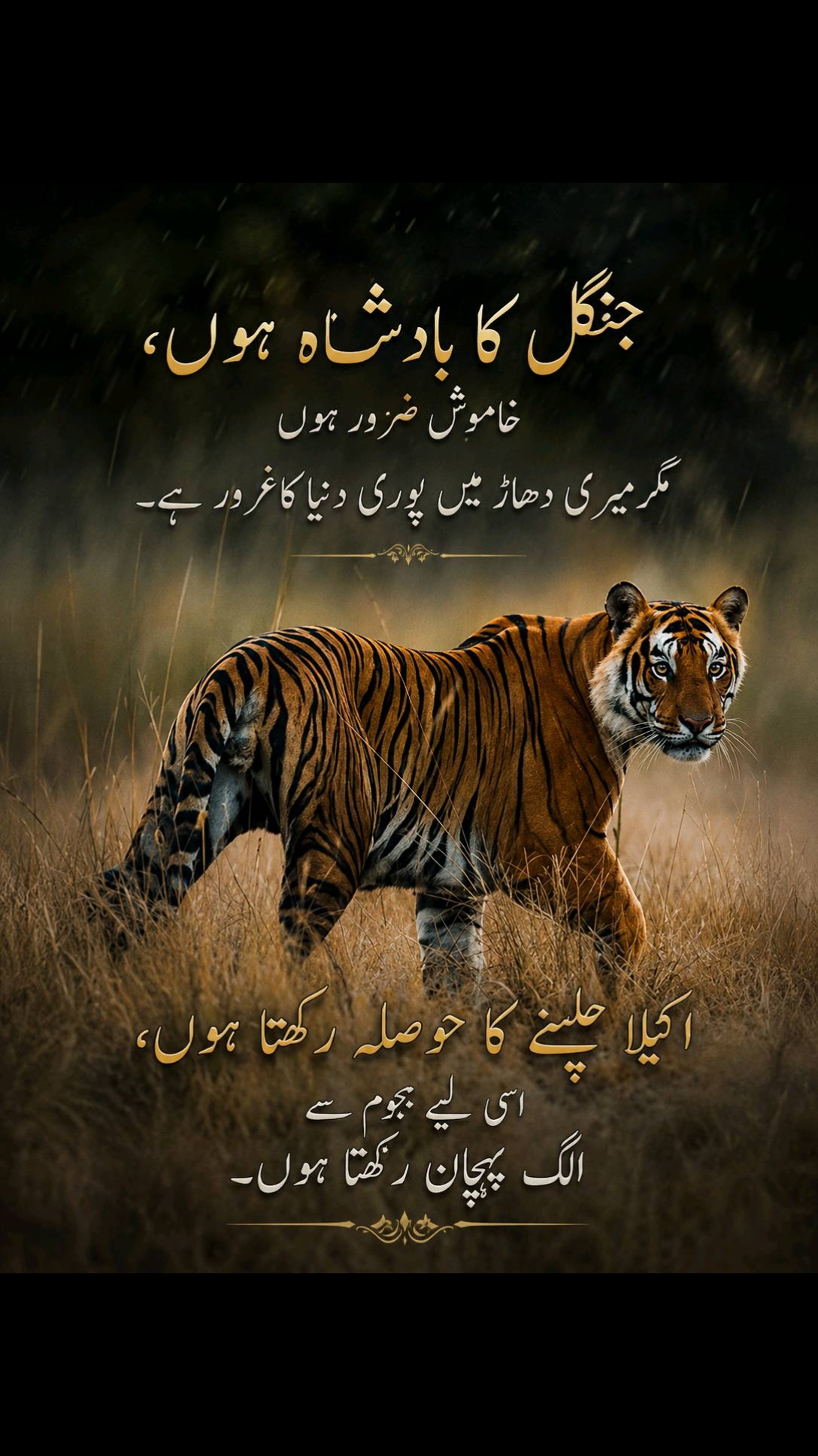 @Talhat Hussain