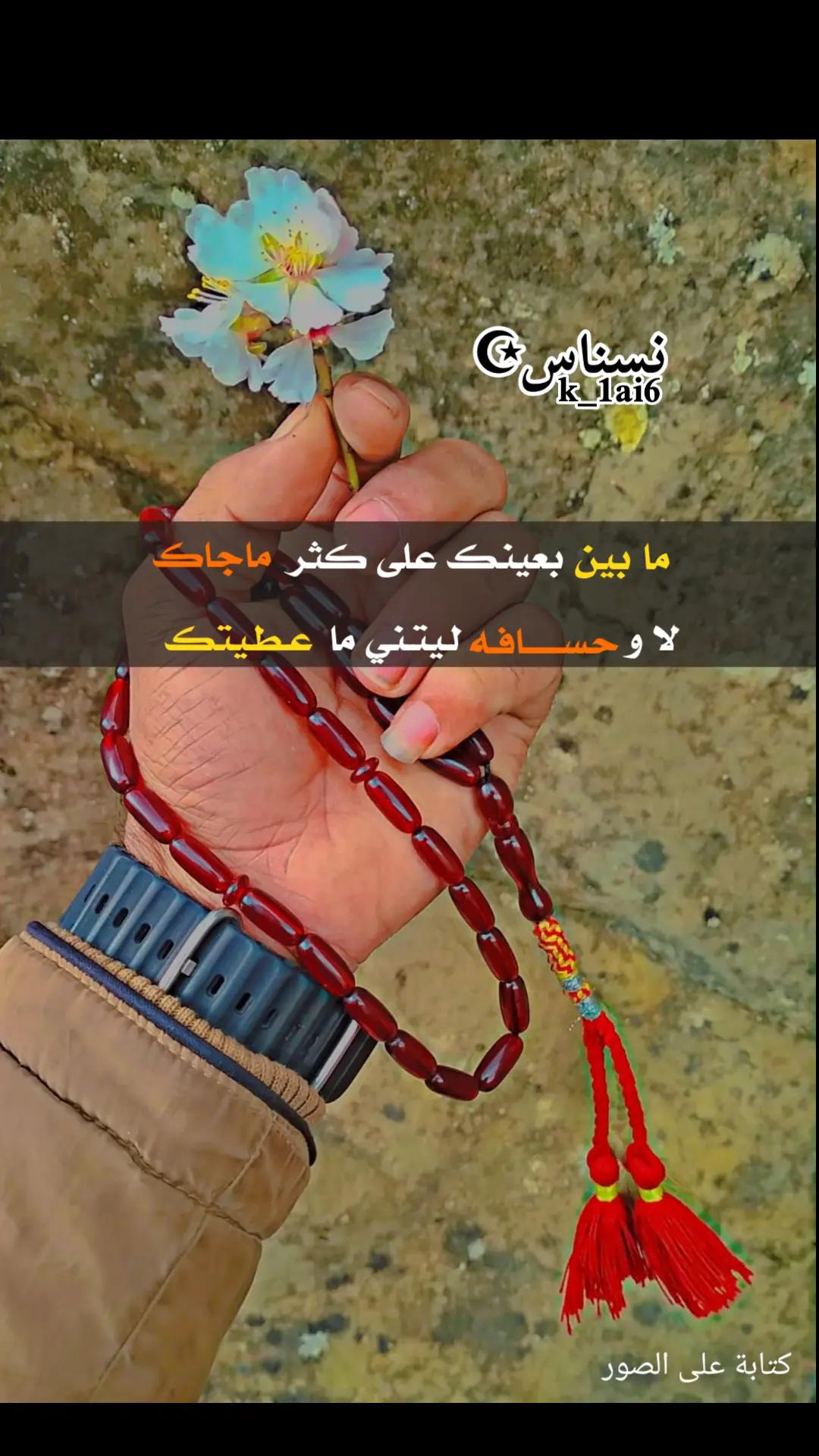 @نسناس☪︎