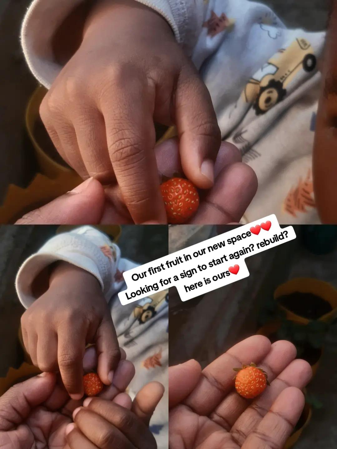 @Agatha Mwende