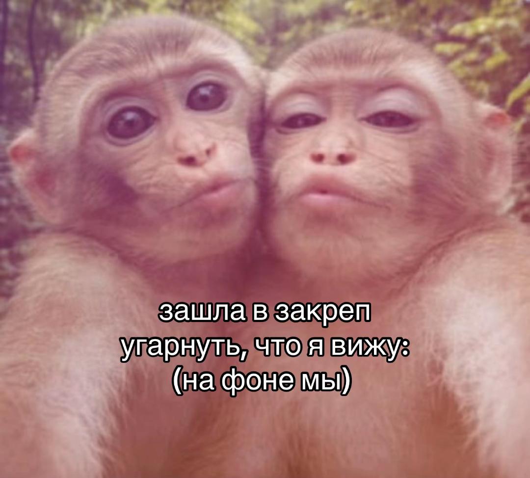 @kuit