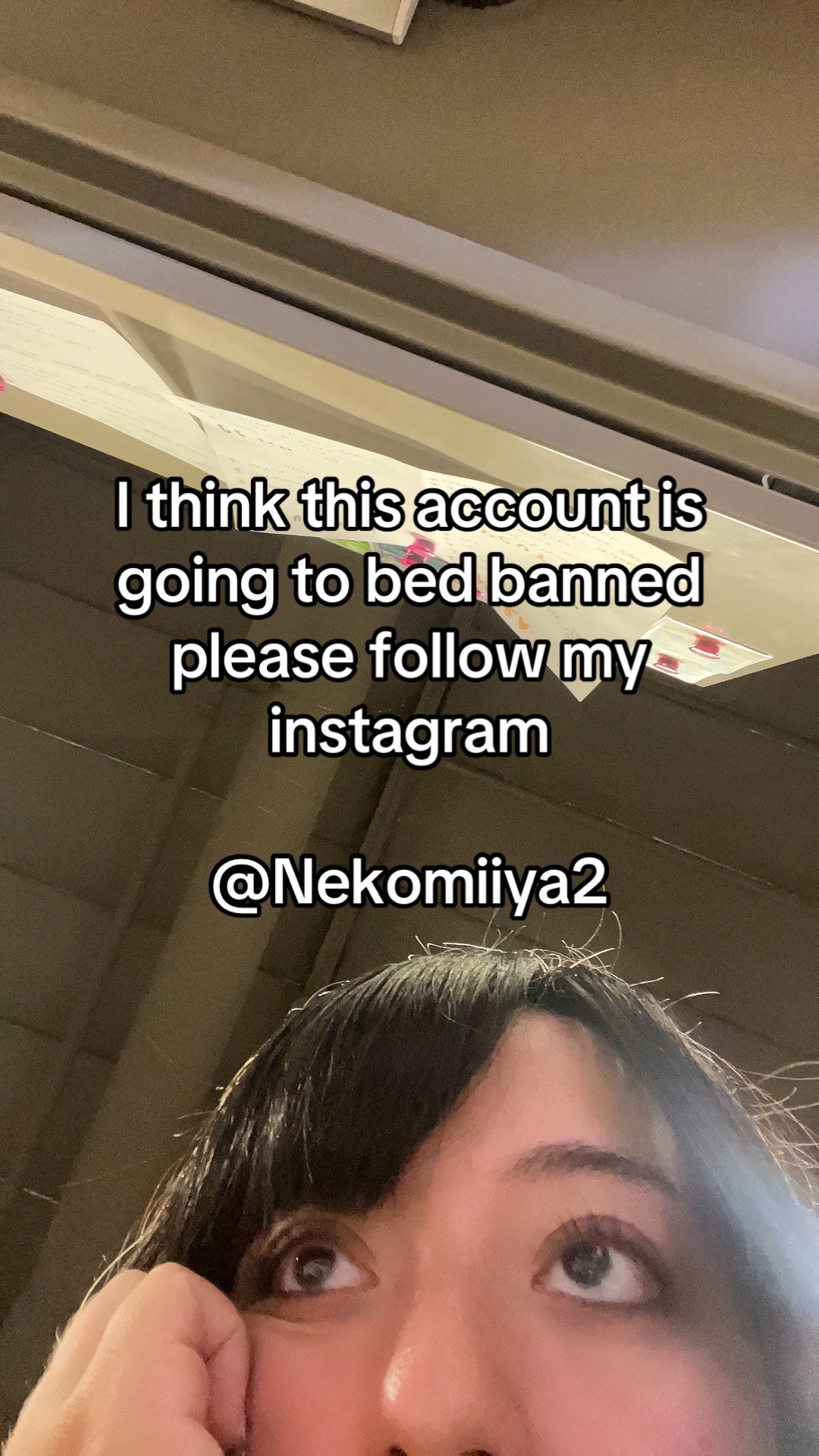 @user88613732136