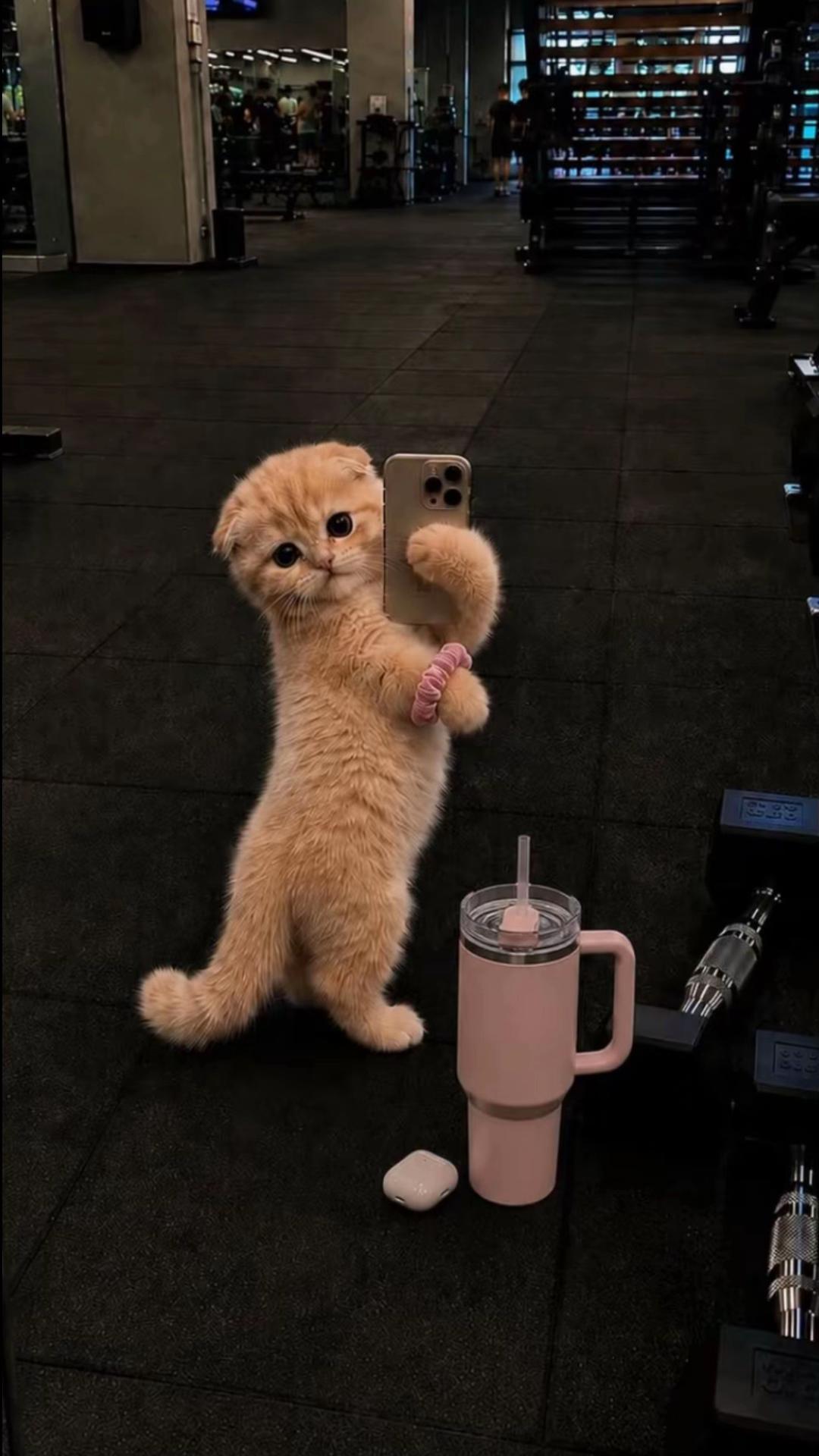 @Icongs