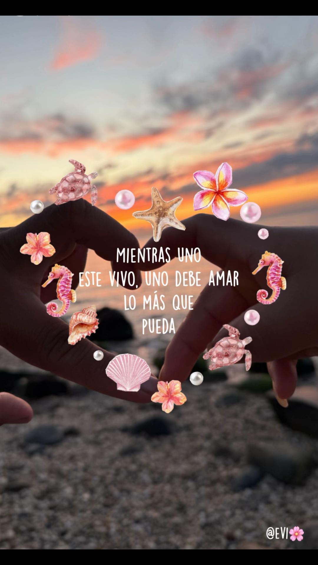 @Evelyn🦋