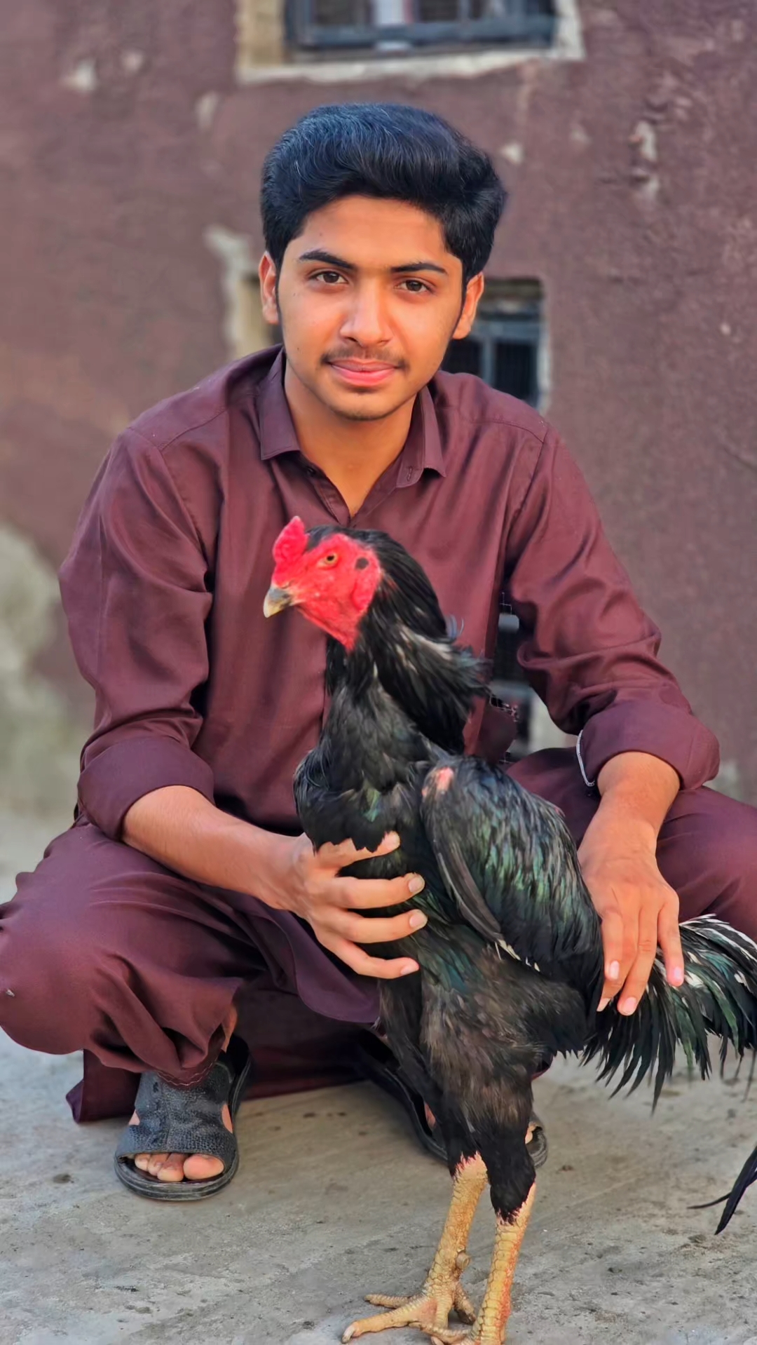 @Aseel 🐓