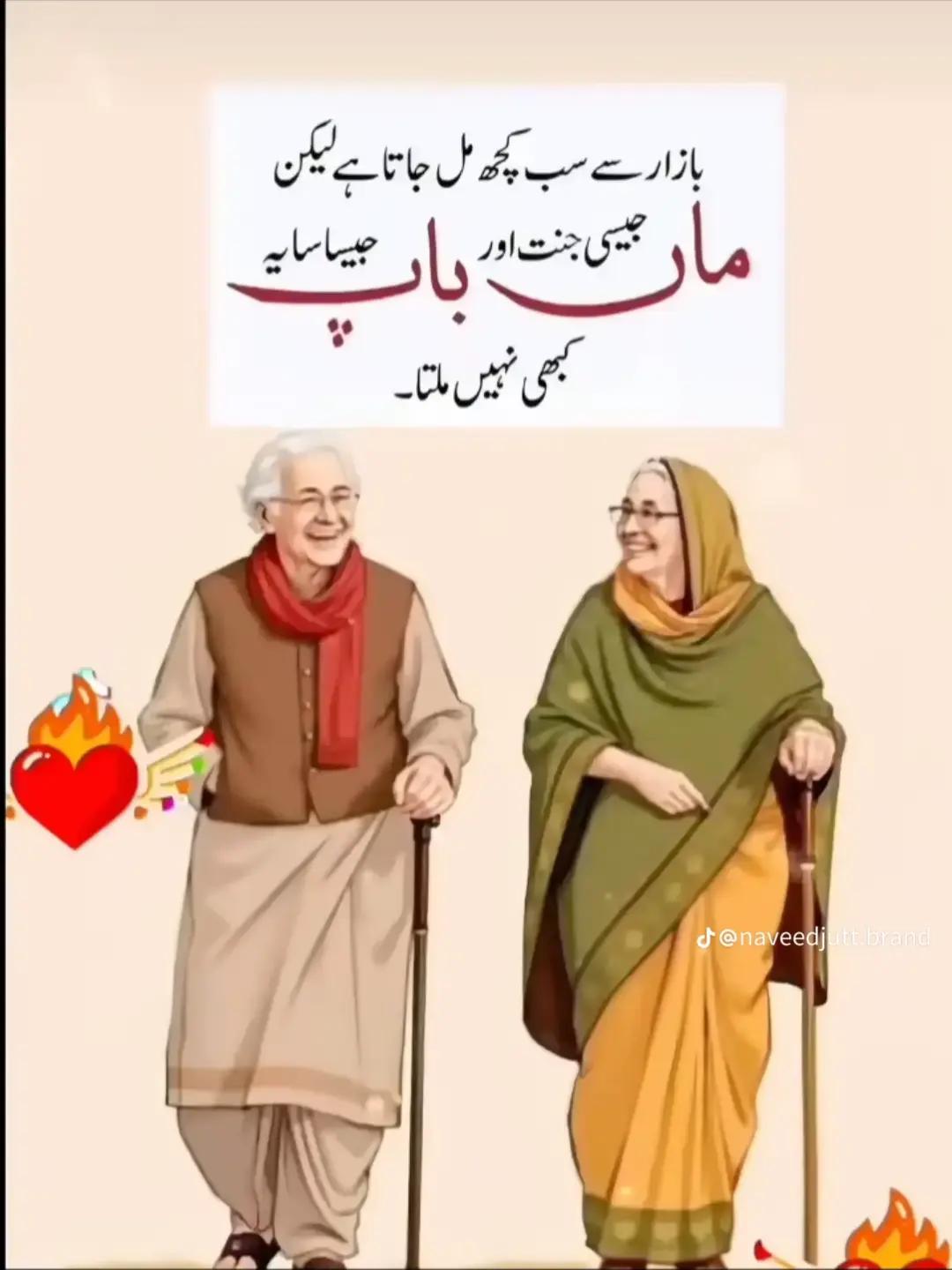 @inzamam jani