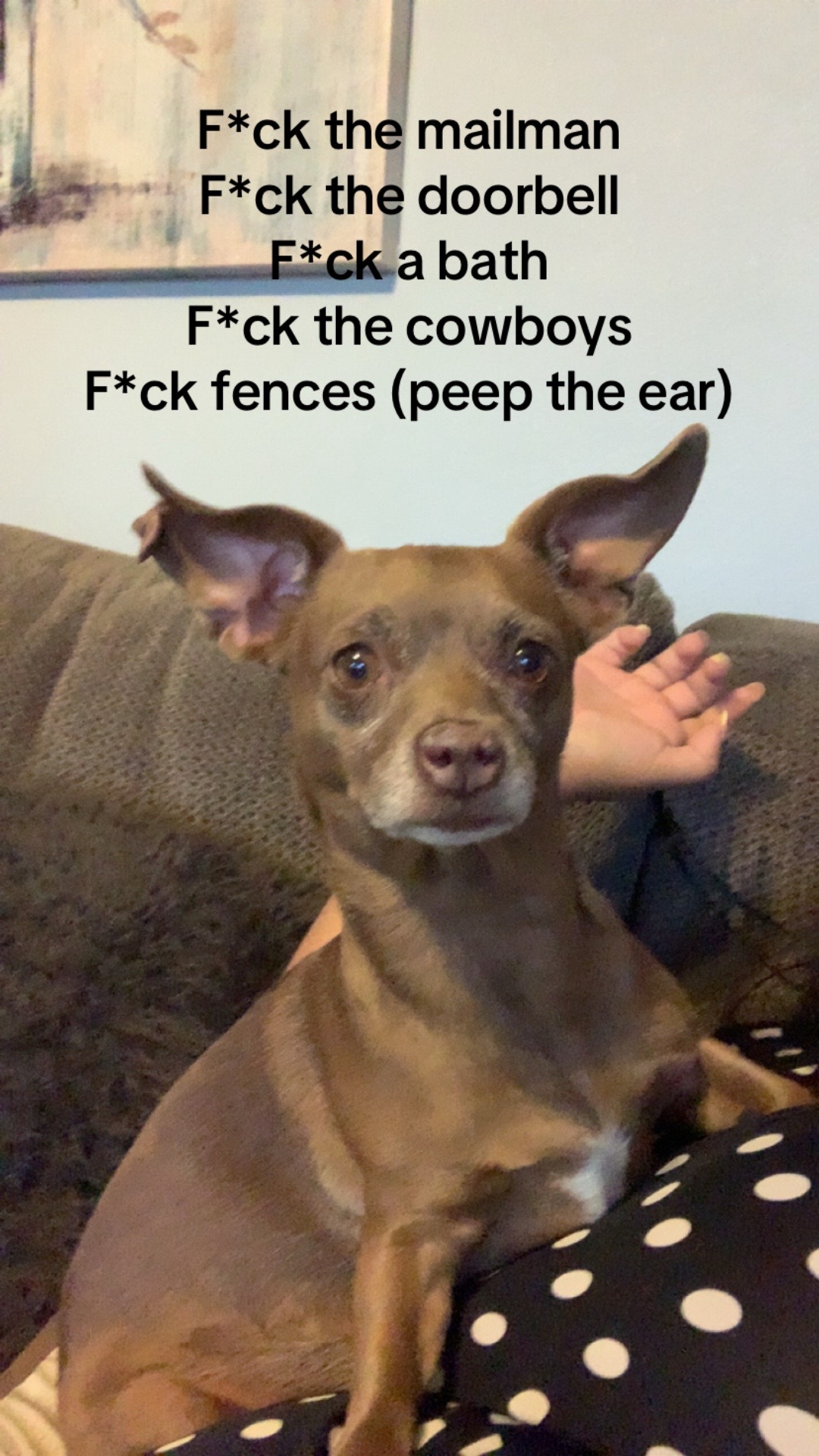 @Steelbrowny