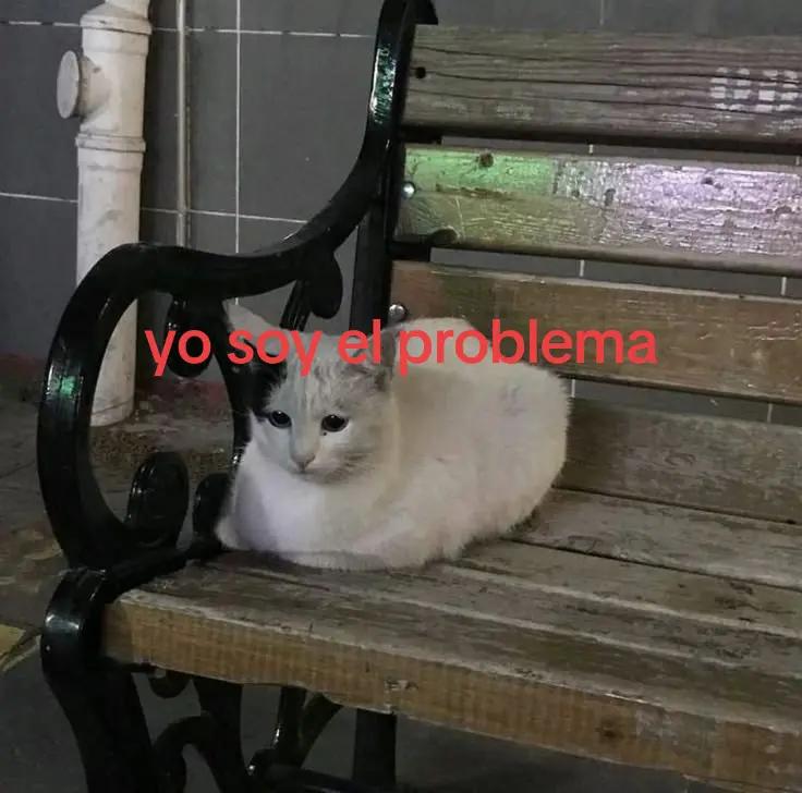 @G4b_n